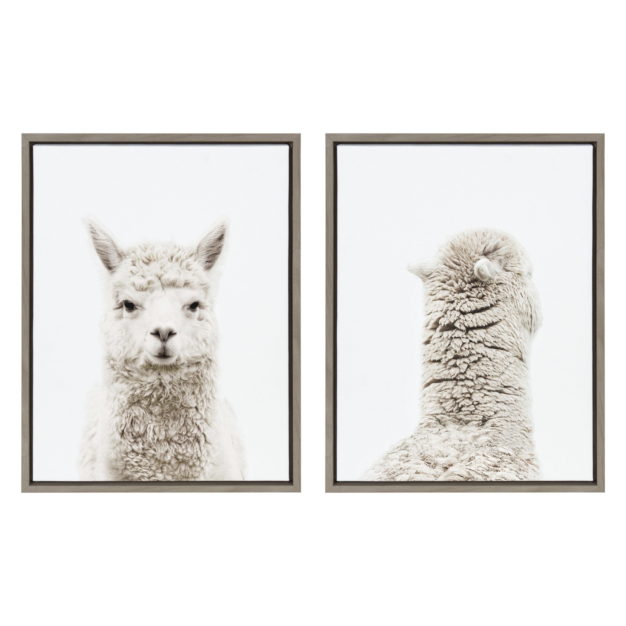 Sylvie Alpaca Front and Alpaca Back Framed Canvas Art Set by Amy Peterson Art Studio