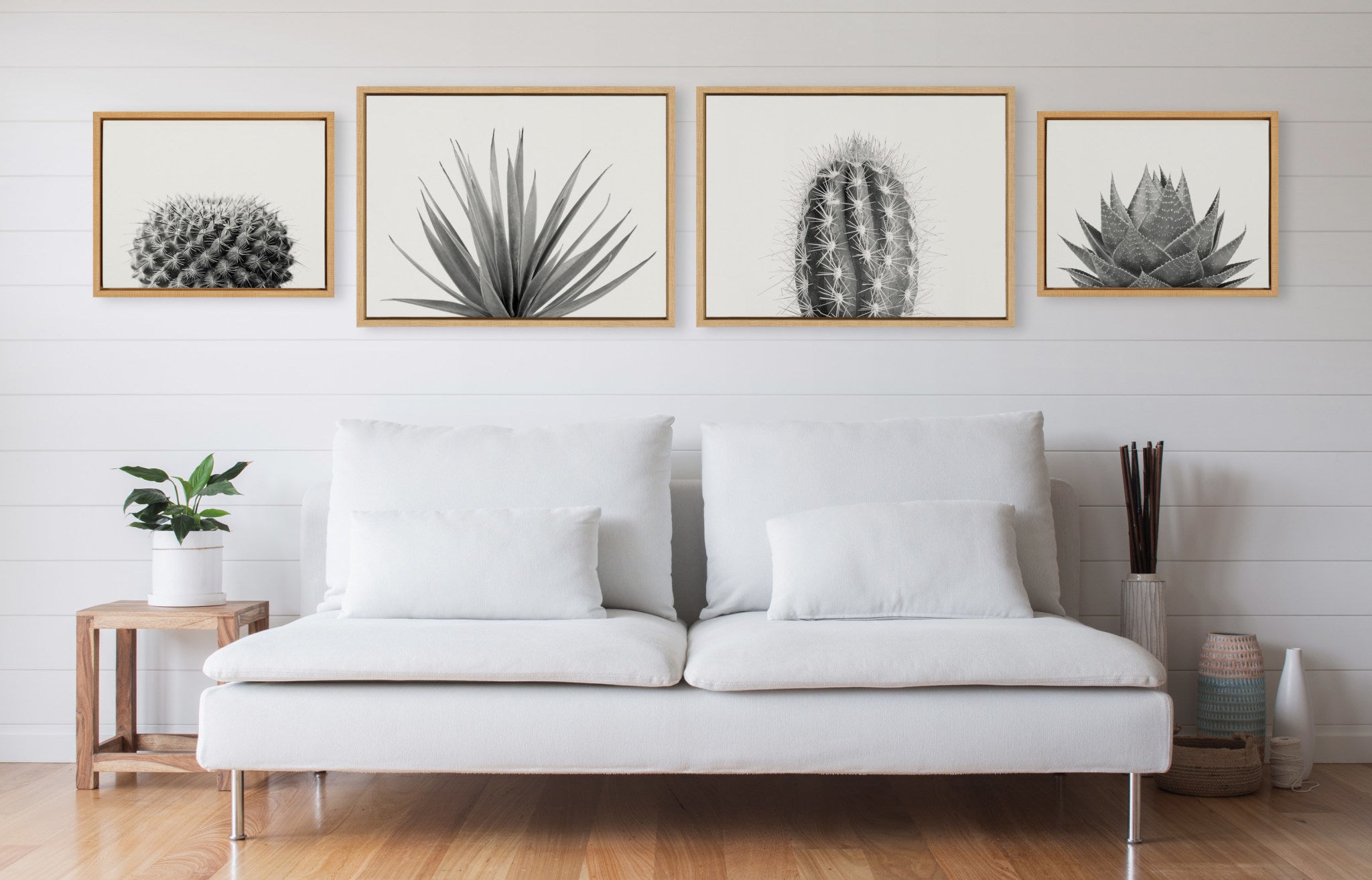 Sylvie Haze Aloe Succulent, Cactus Tall, Cactus Short and Agave Succulent Framed Canvas Art Set by The Creative Bunch Studio