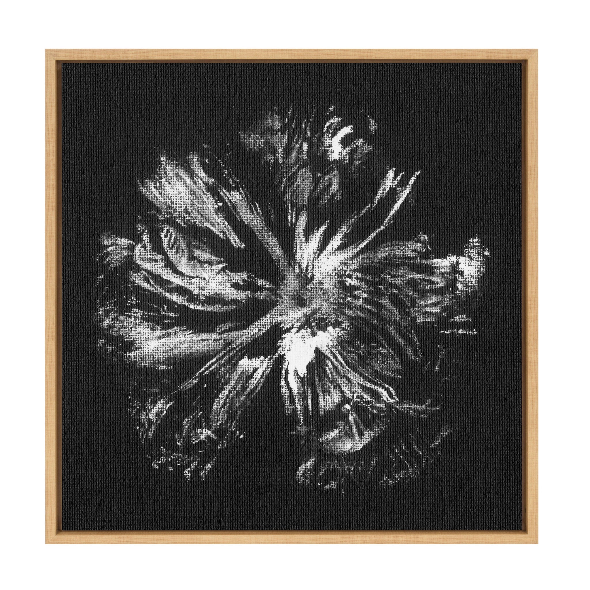 Sylvie Peony Peacock Invert BW Framed Canvas by Mentoring Positives