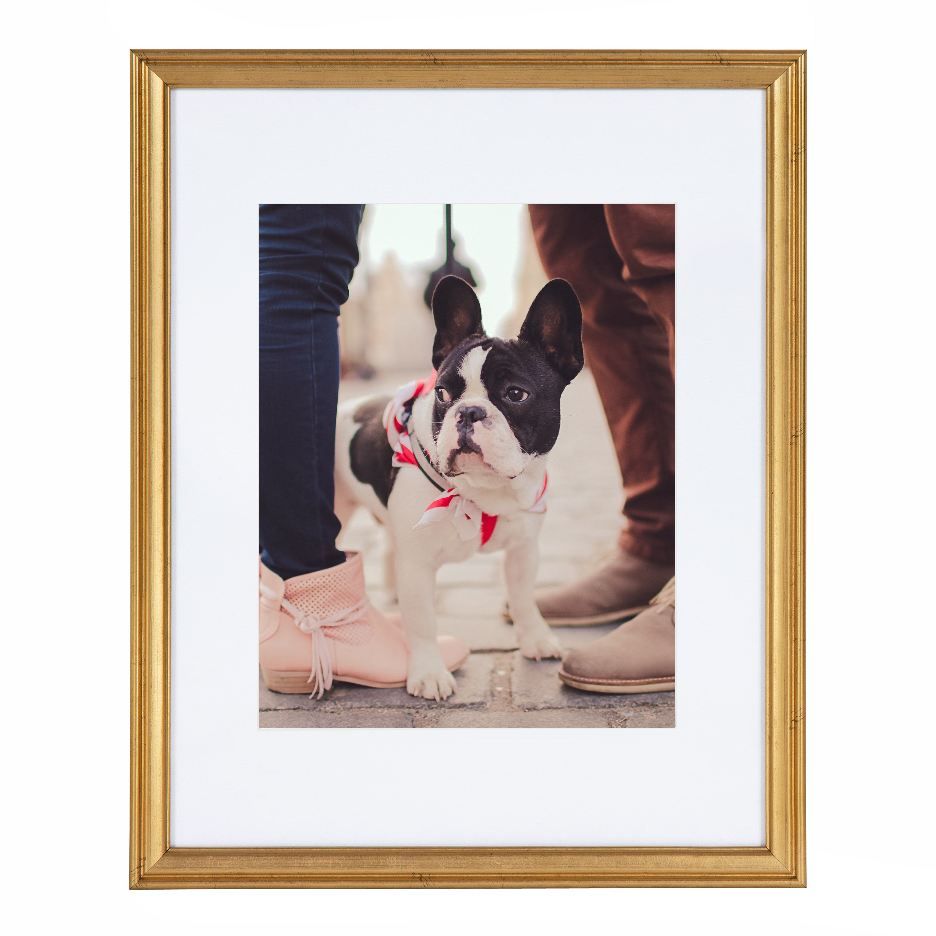 Wall Frame Gold 11x14 matted to 8x10 6