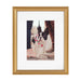 Frame Box Set Gold 10 Piece 6