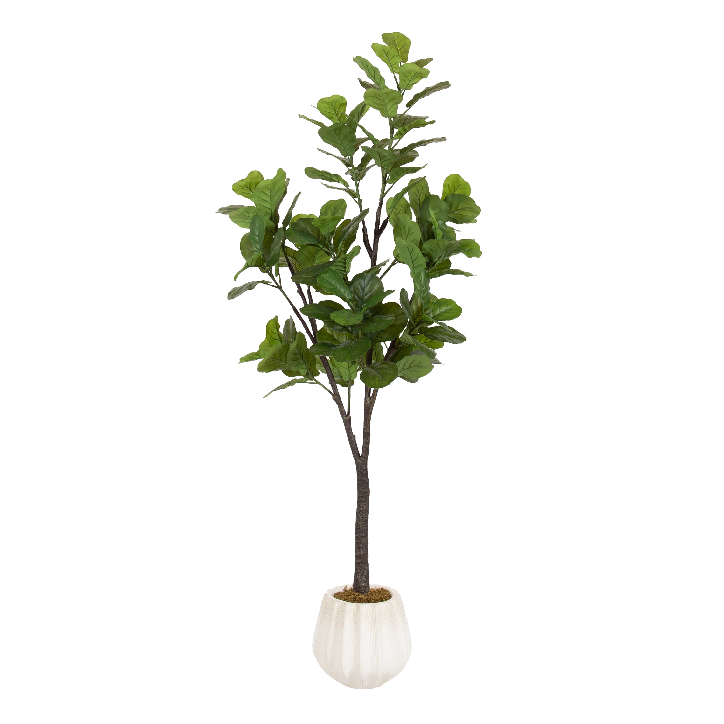 Faux Tree Distressed White 6' 1