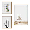 Sylvie Lone Joshua Tree, Group of Cacti and Film Grain Cactus 1 Framed Canvas Art Set by Various Artists