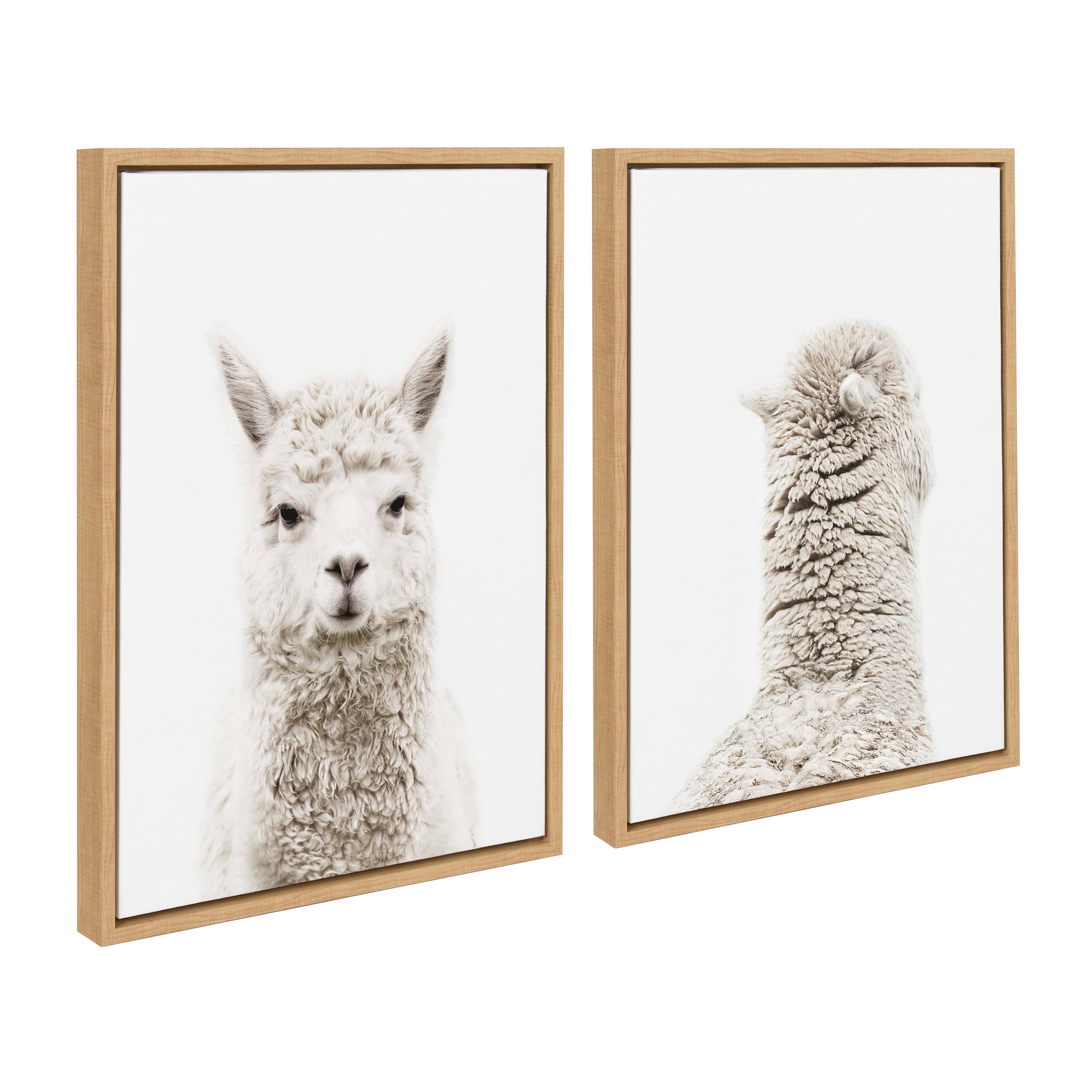 Sylvie Alpaca Front and Alpaca Back Framed Canvas Art Set by Amy Peterson Art Studio