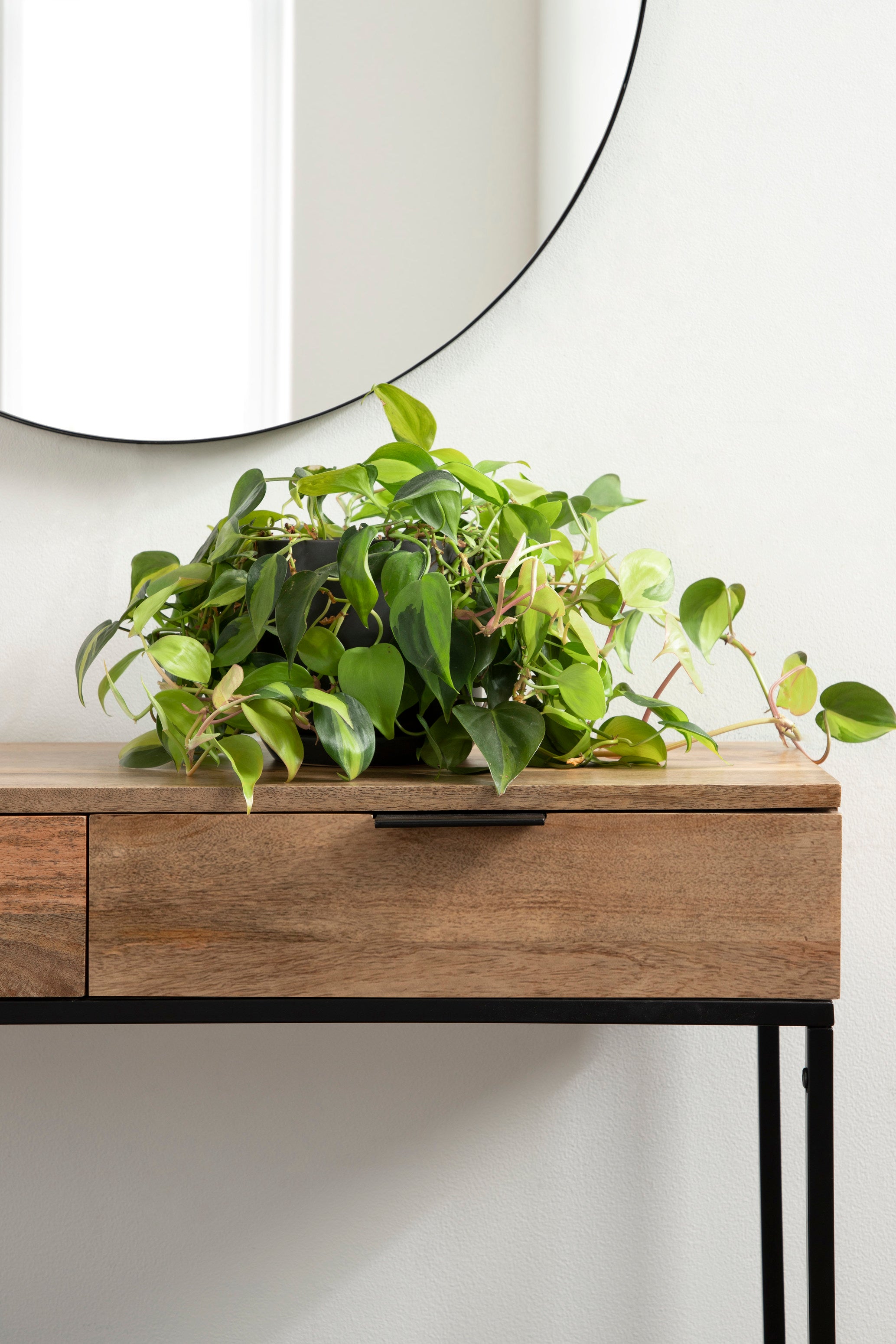 Malone Wood and Metal Console Table