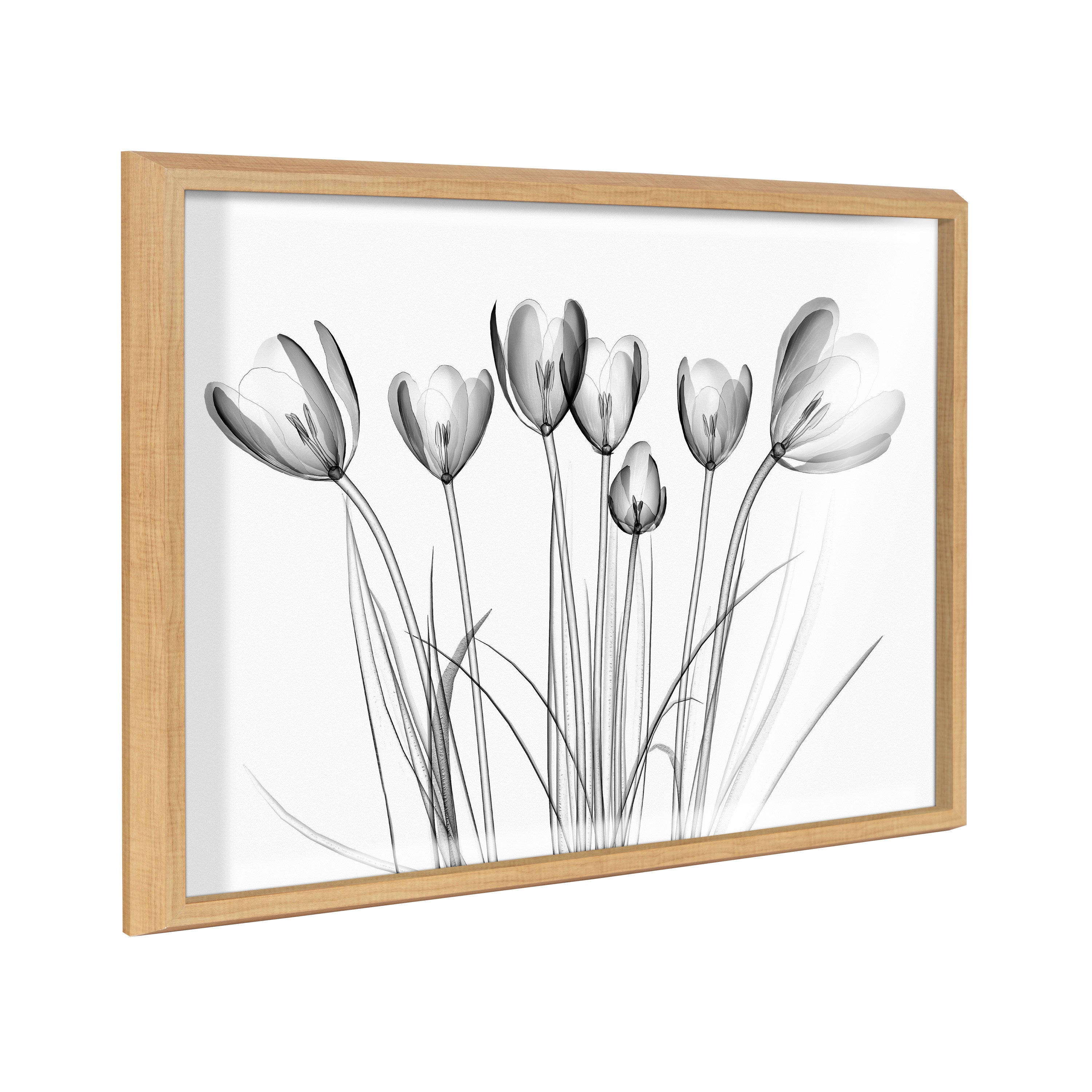 Blake Crocus X Ray Floral BW Framed Printed Art by The Creative Bunch Studio