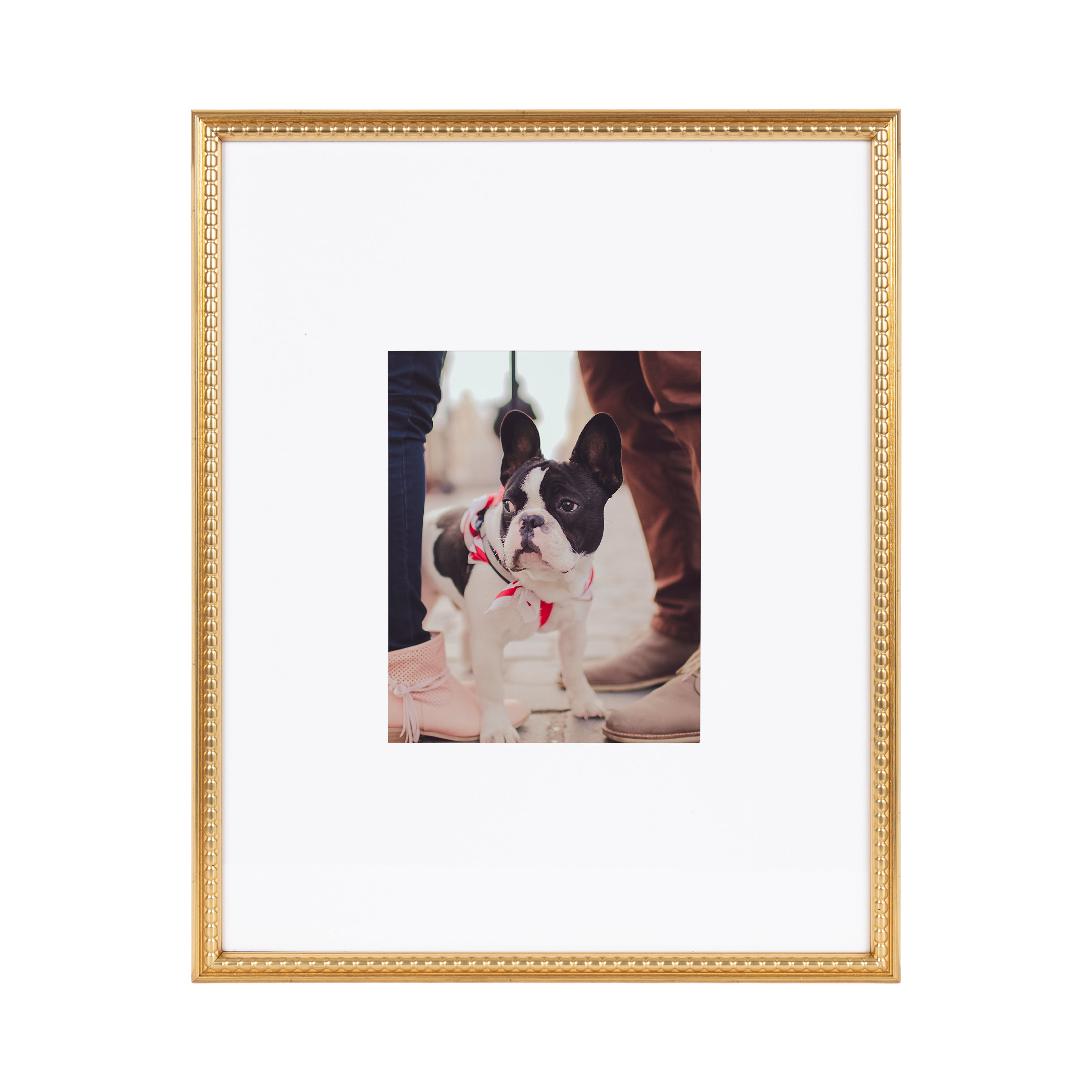 Wall Frame Gold 16x20 matted to 8x10 6