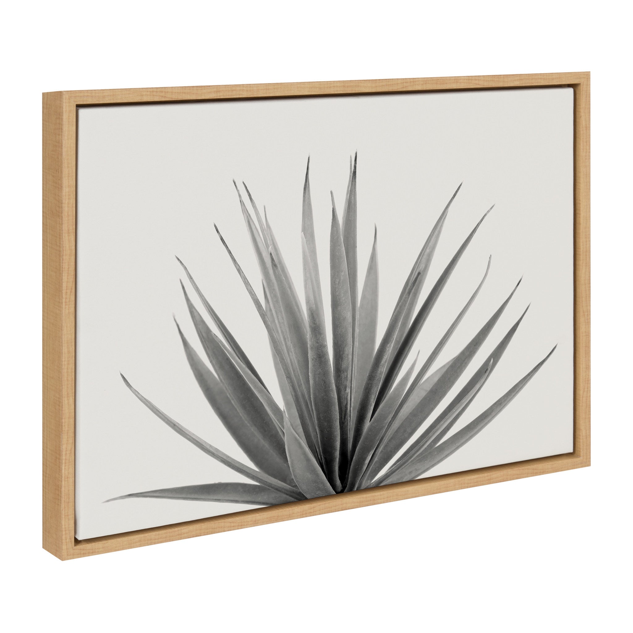 Sylvie Haze Aloe Succulent, Cactus Tall, Cactus Short and Agave Succulent Framed Canvas Art Set by The Creative Bunch Studio