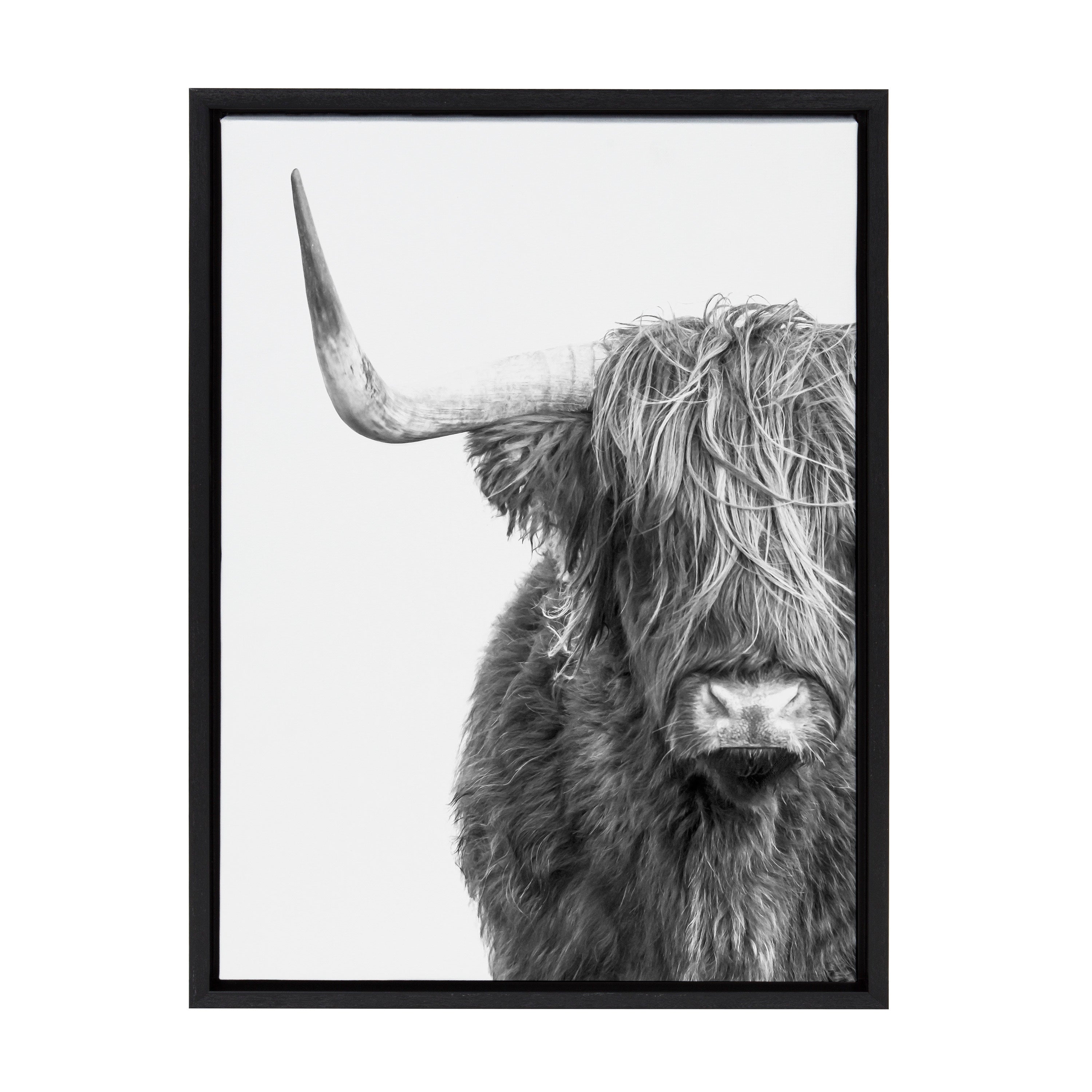 Sylvie B&W Highland Cow No. 1 Framed Canvas by Amy Peterson Art Studio