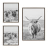 Sylvie Herd of Highland Cows BW Left and Right and Highland Cow Mountain Landscape Black and White Framed Canvas Art Set by The Creative Bunch Studio