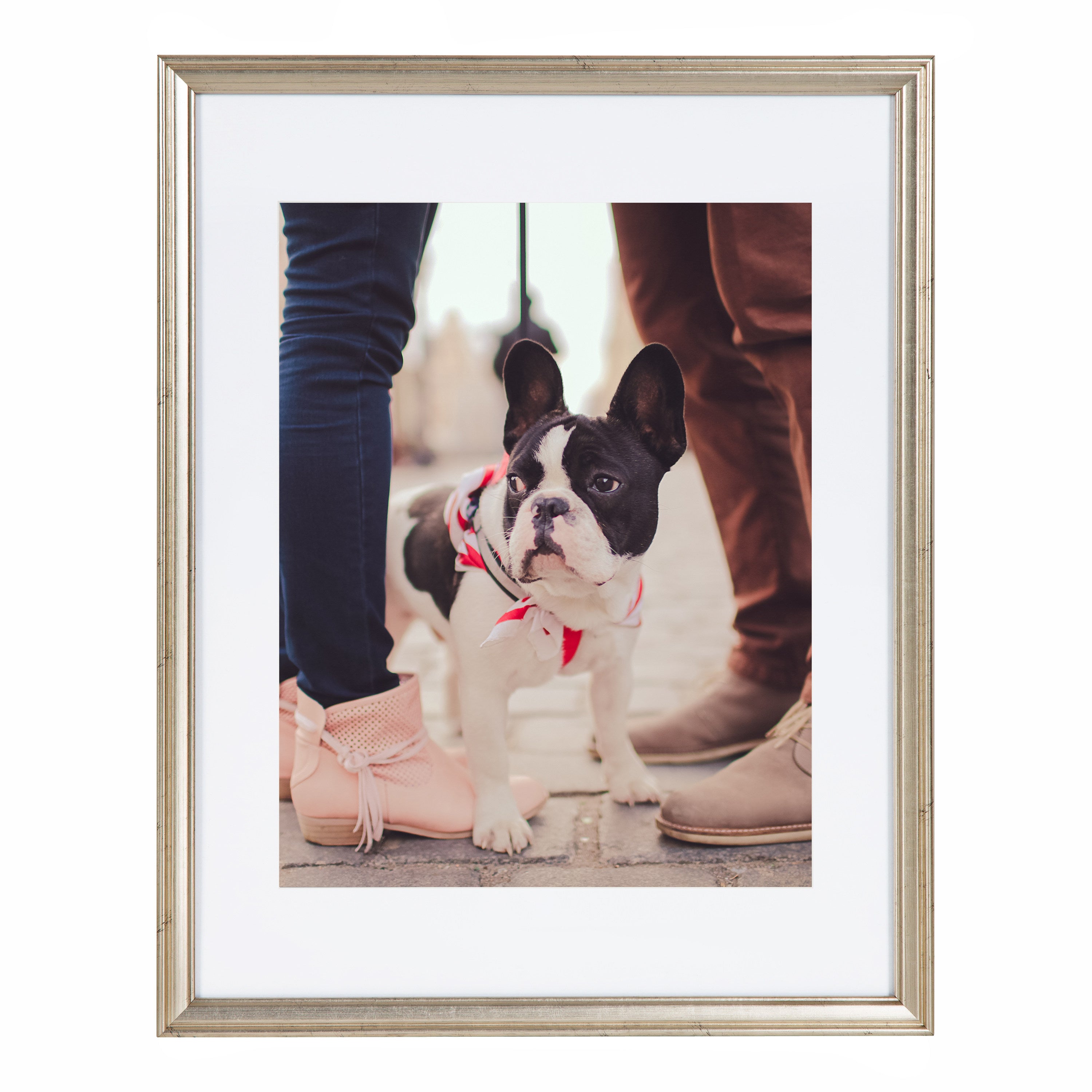 Wall Frame Silver 14x18 matted to 11x14 6