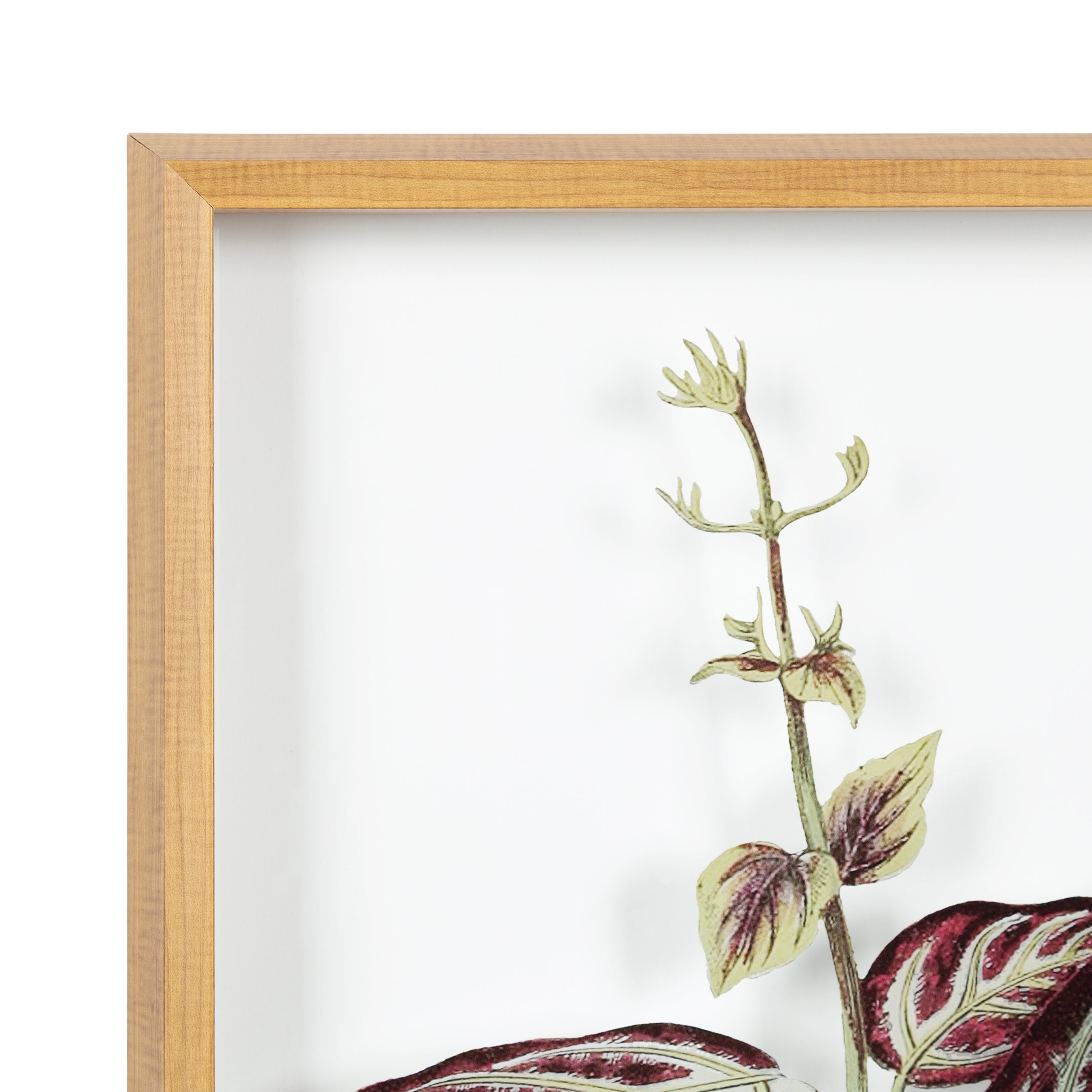 Framed Printed Art 18x24 Blake Natural 3