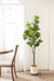 Faux Tree White 6' 8