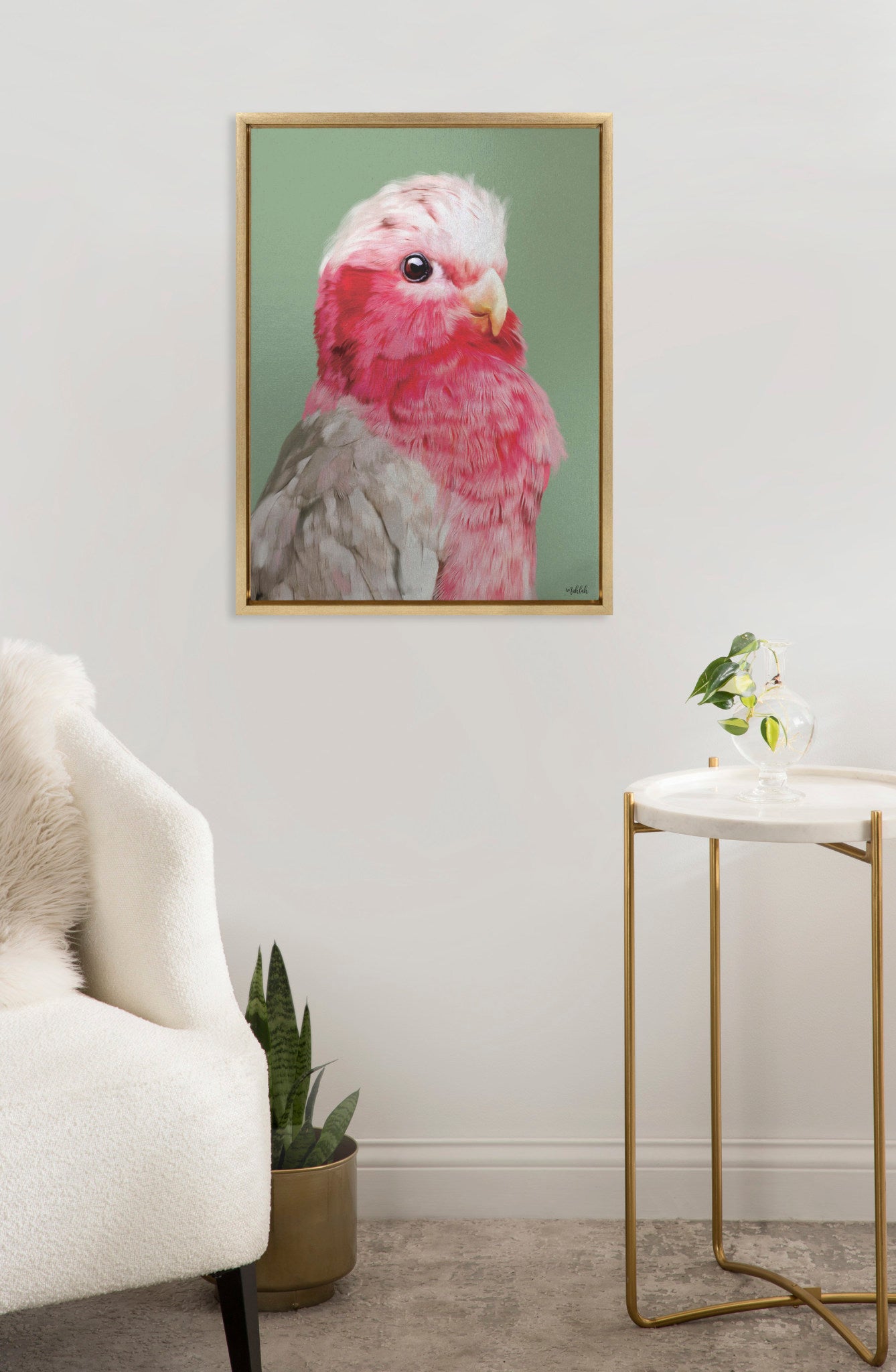 Sylvie Regal Galah Framed Canvas by Inkheart Designs