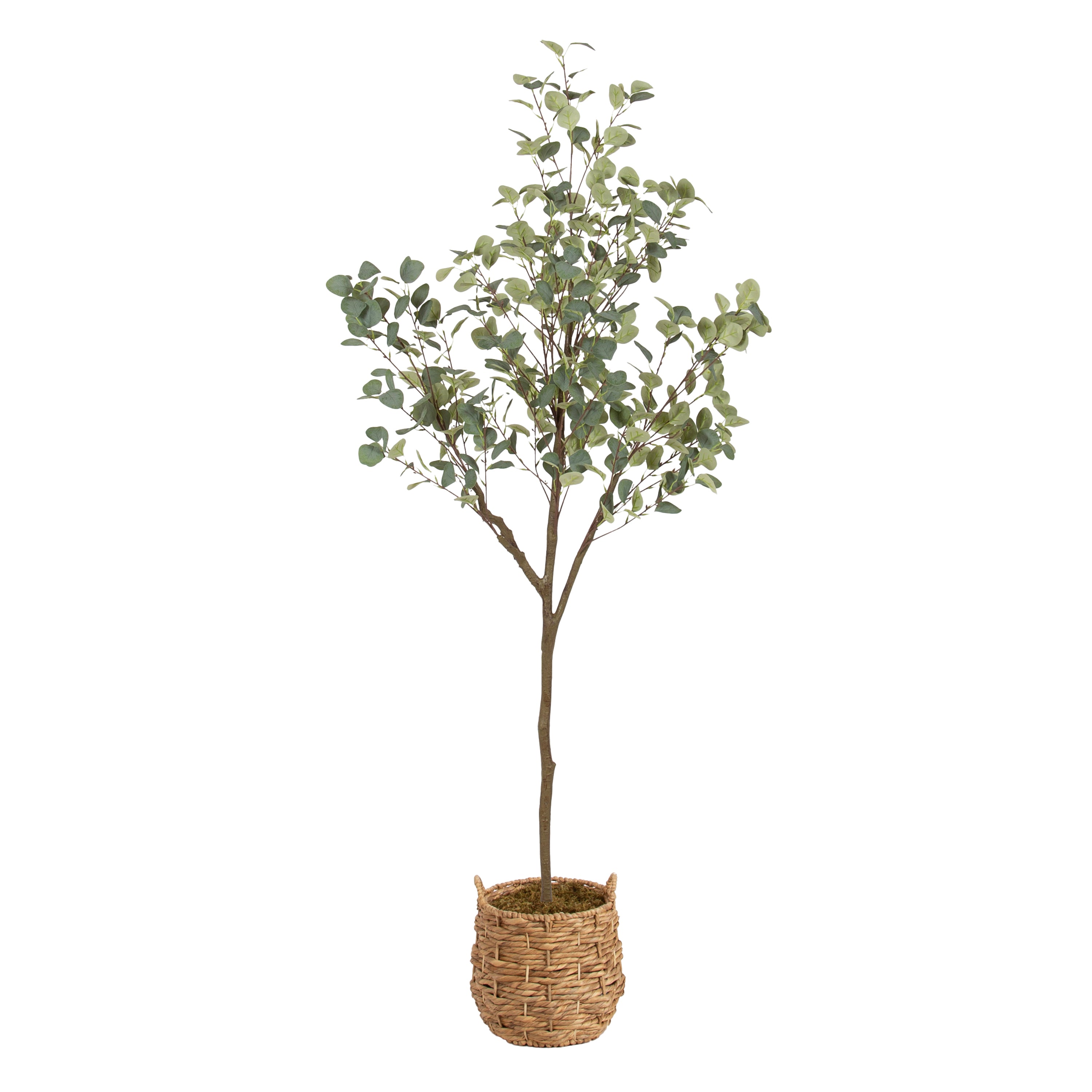Faux Tree Natural 6' 1