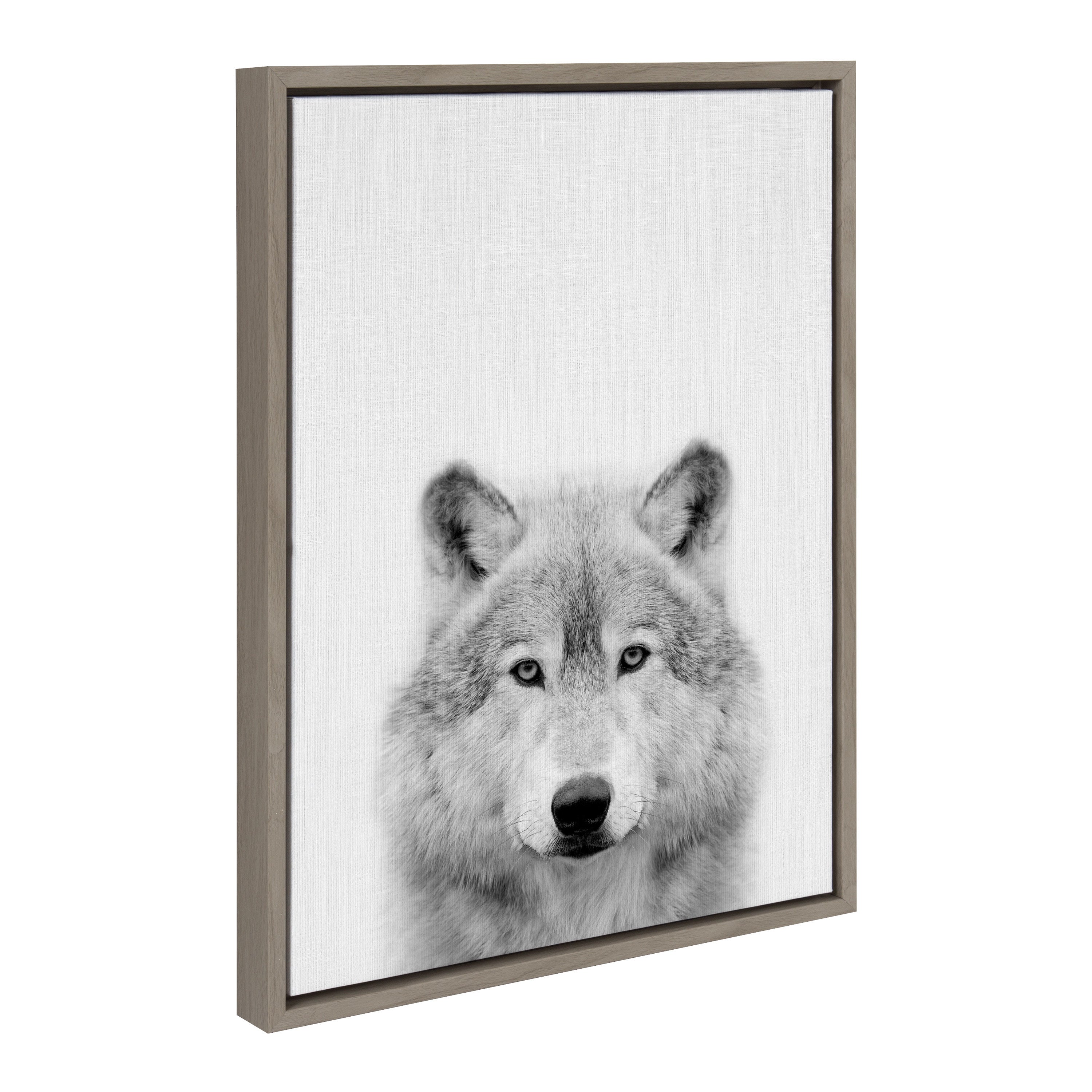 Sylvie Deer, Wolf, Bear European and Cervus Elaphus The Red Deer Black and White Framed Canvas Art Set by Simon Te of Tai Prints