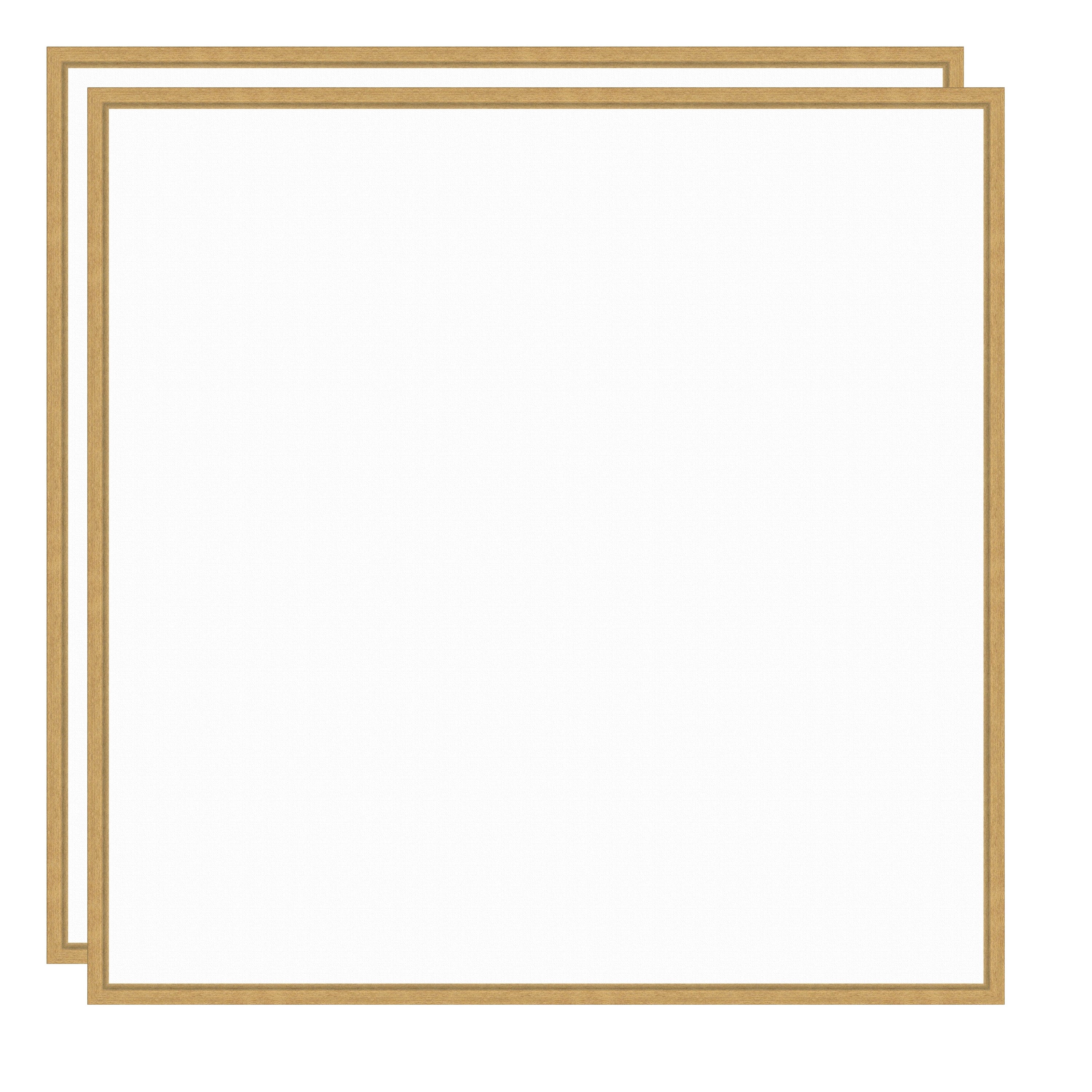 Art Set 2 Piece Set 30x30 Sylvie Bright Gold 1