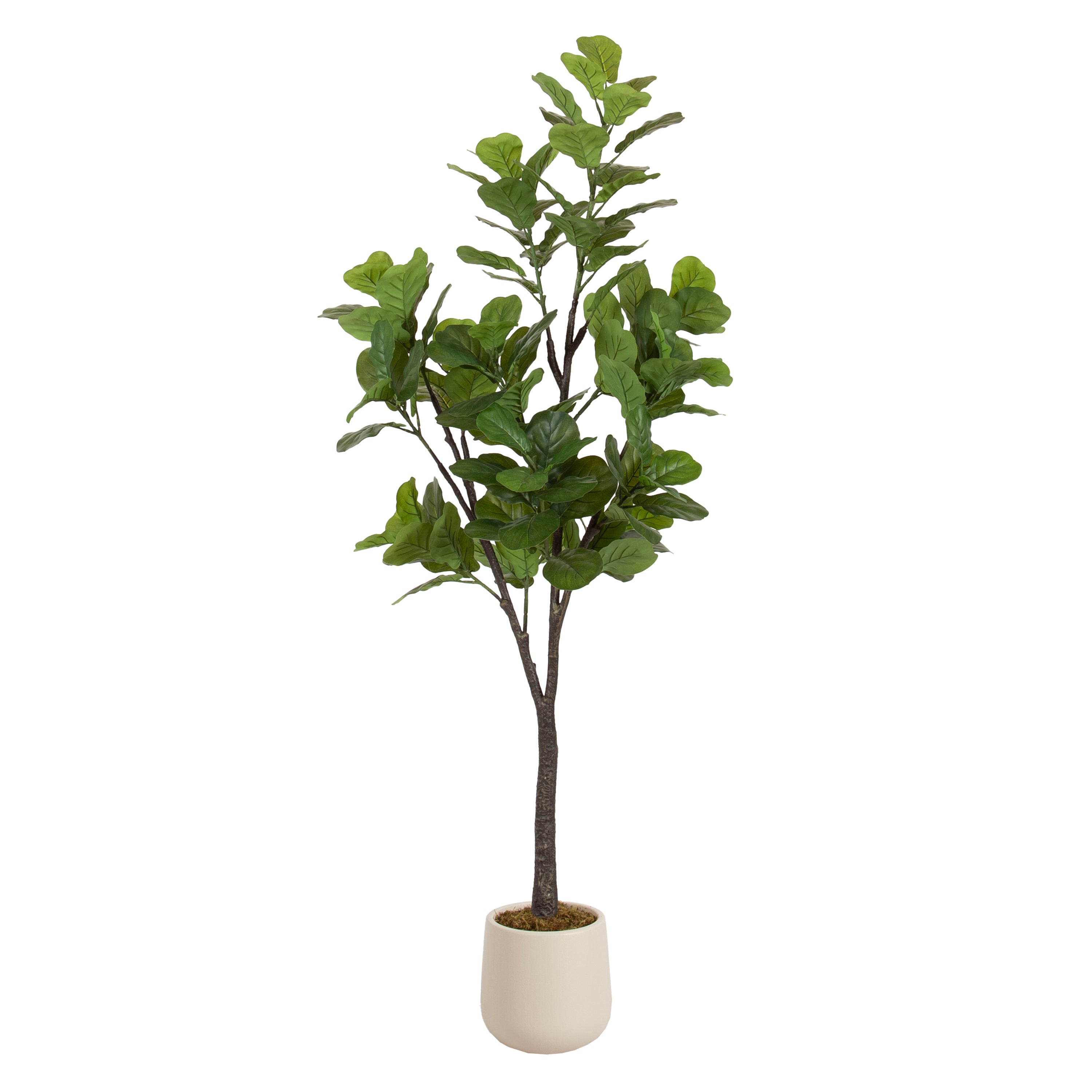 Faux Tree Cream 6' 1