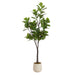 Faux Tree Cream 6' 1