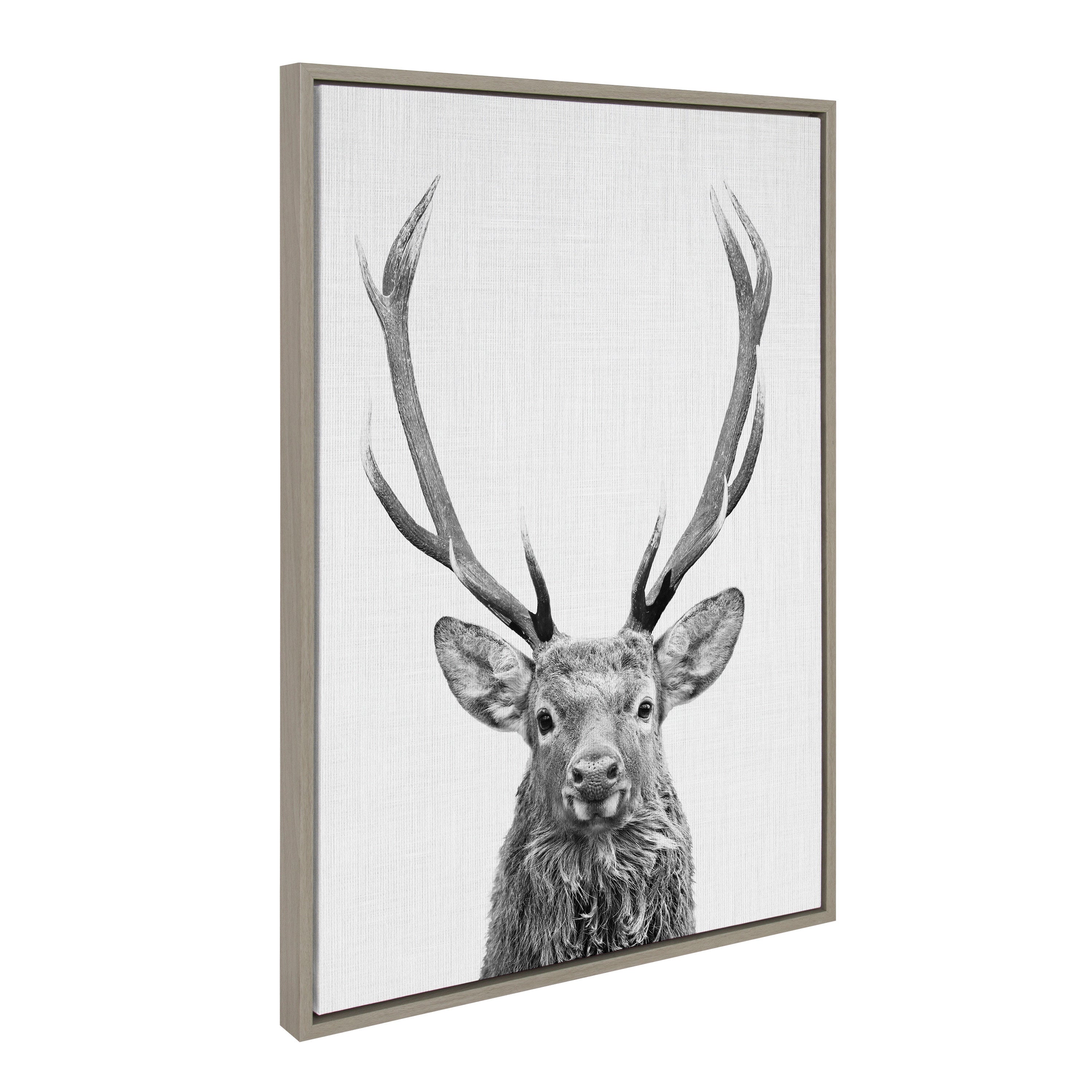 Sylvie The Red Deer BW Framed Canvas by Simon Te of Tai Prints