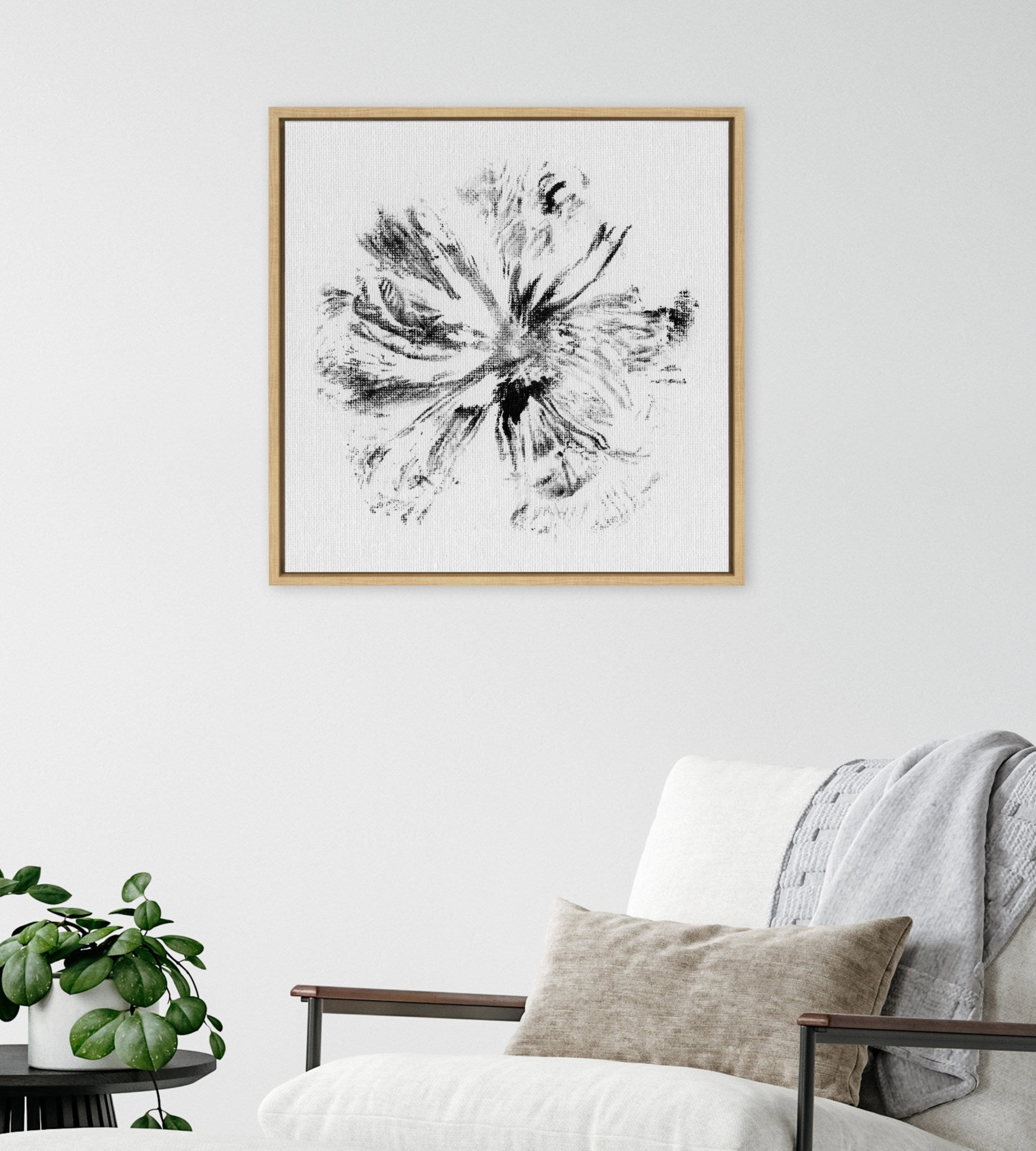 Sylvie Peony Peacock BW Framed Canvas by Mentoring Positives