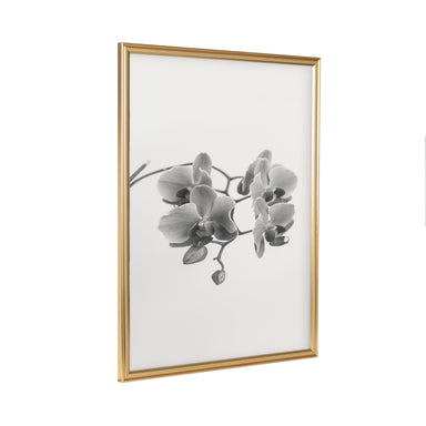 Poster Frame Gold 18x24 1