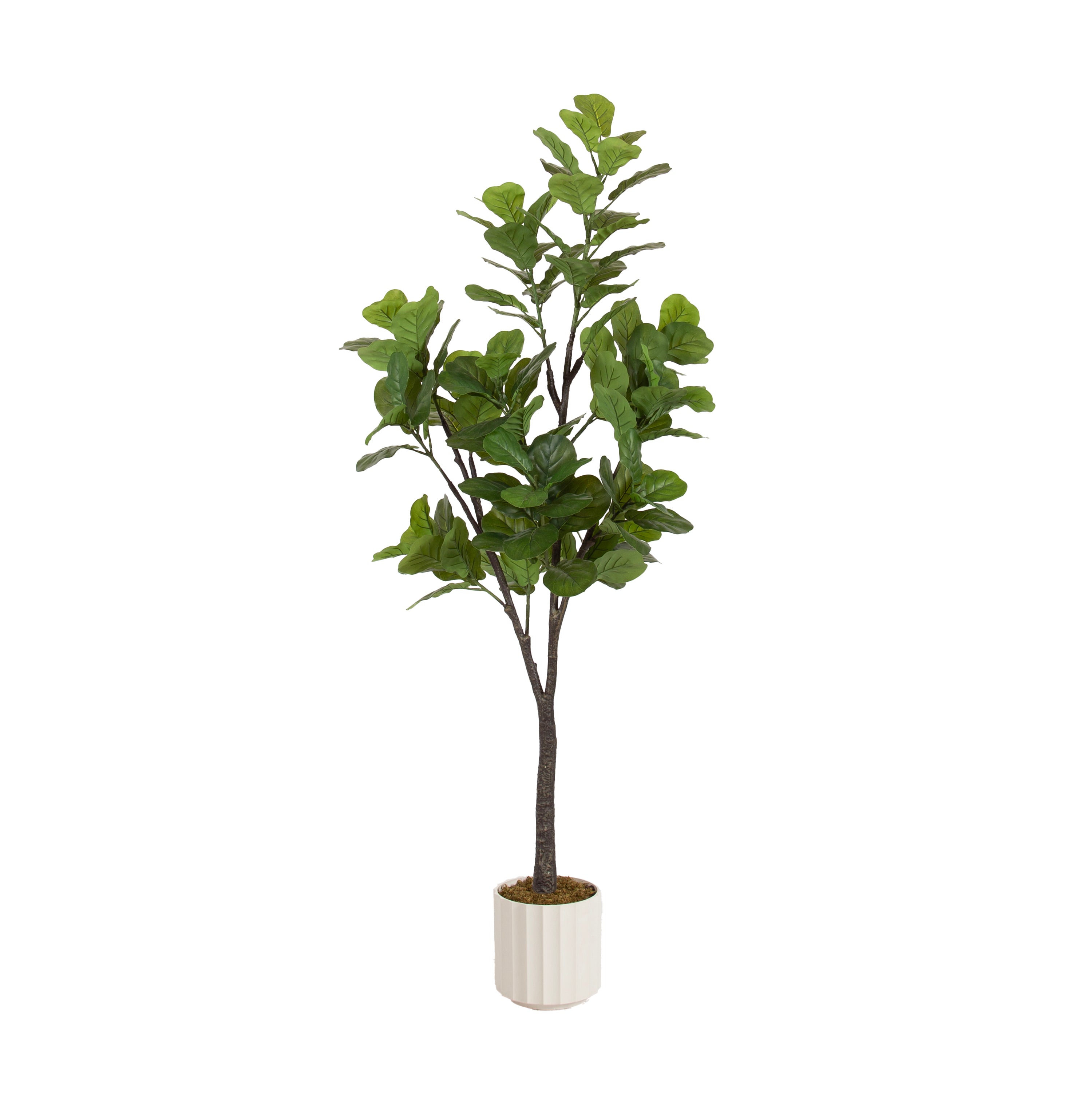 Faux Tree White 6' 1
