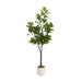 Faux Tree White 6' 1