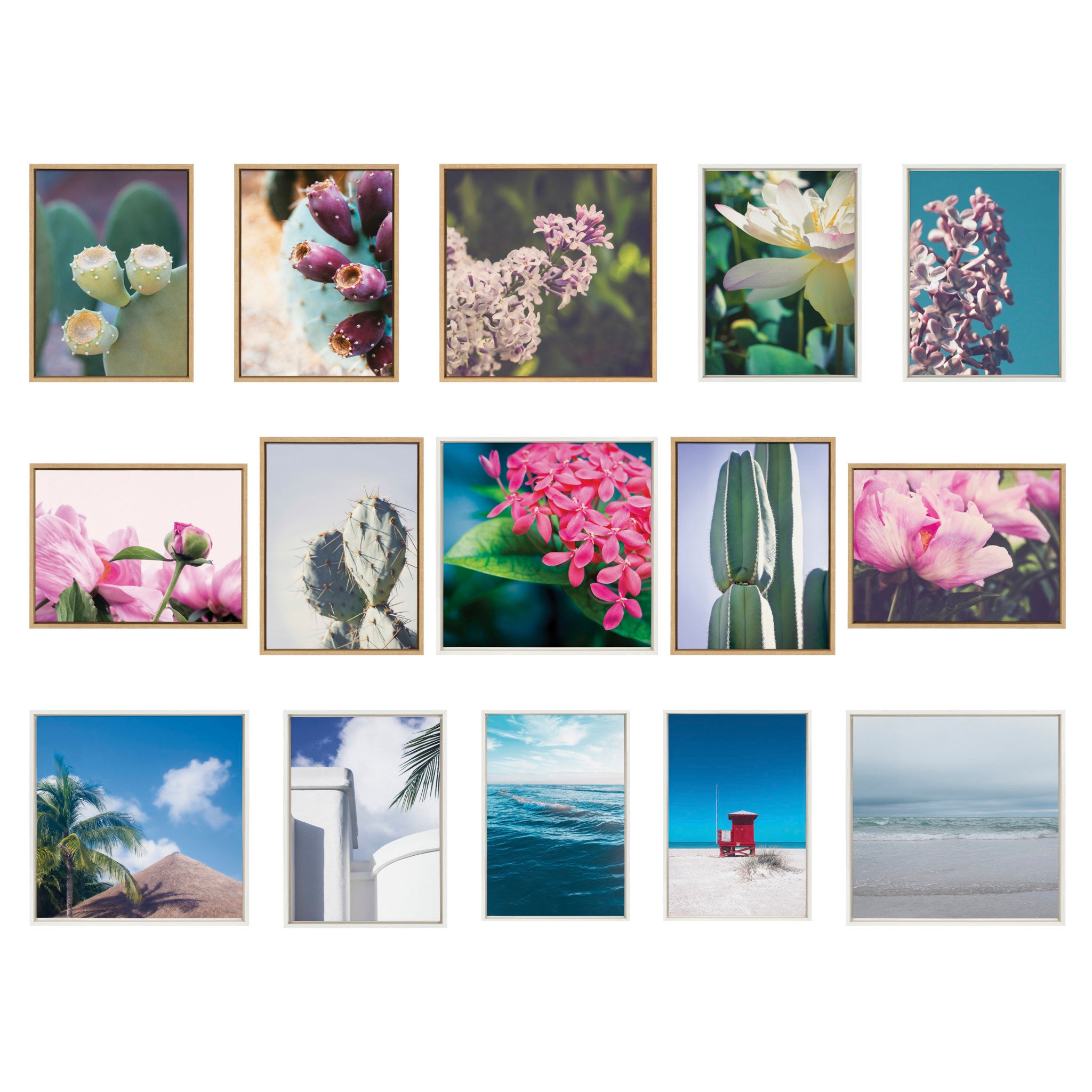 Sylvie Cactus Sky Framed Canvas by Stephanie Klatt