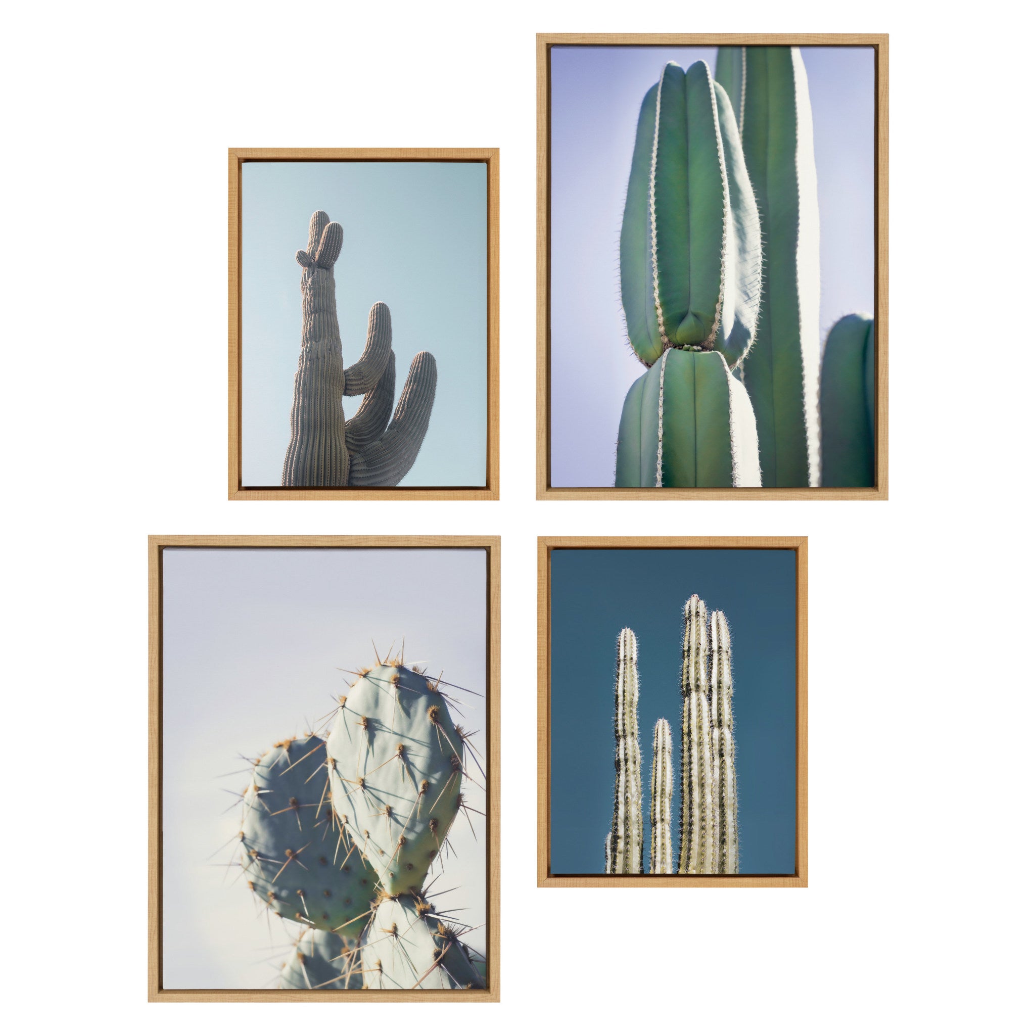 Sylvie Cactus Sky, Pastel Cactus, Stand Tall Cactus and Arizona Pastel Cactus Framed Canvas Art Set by Stephanie Klatt