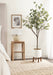 Faux Tree White Rustic Brown 6.5' 8