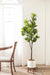 Faux Tree White Rustic Brown 6.5' 8
