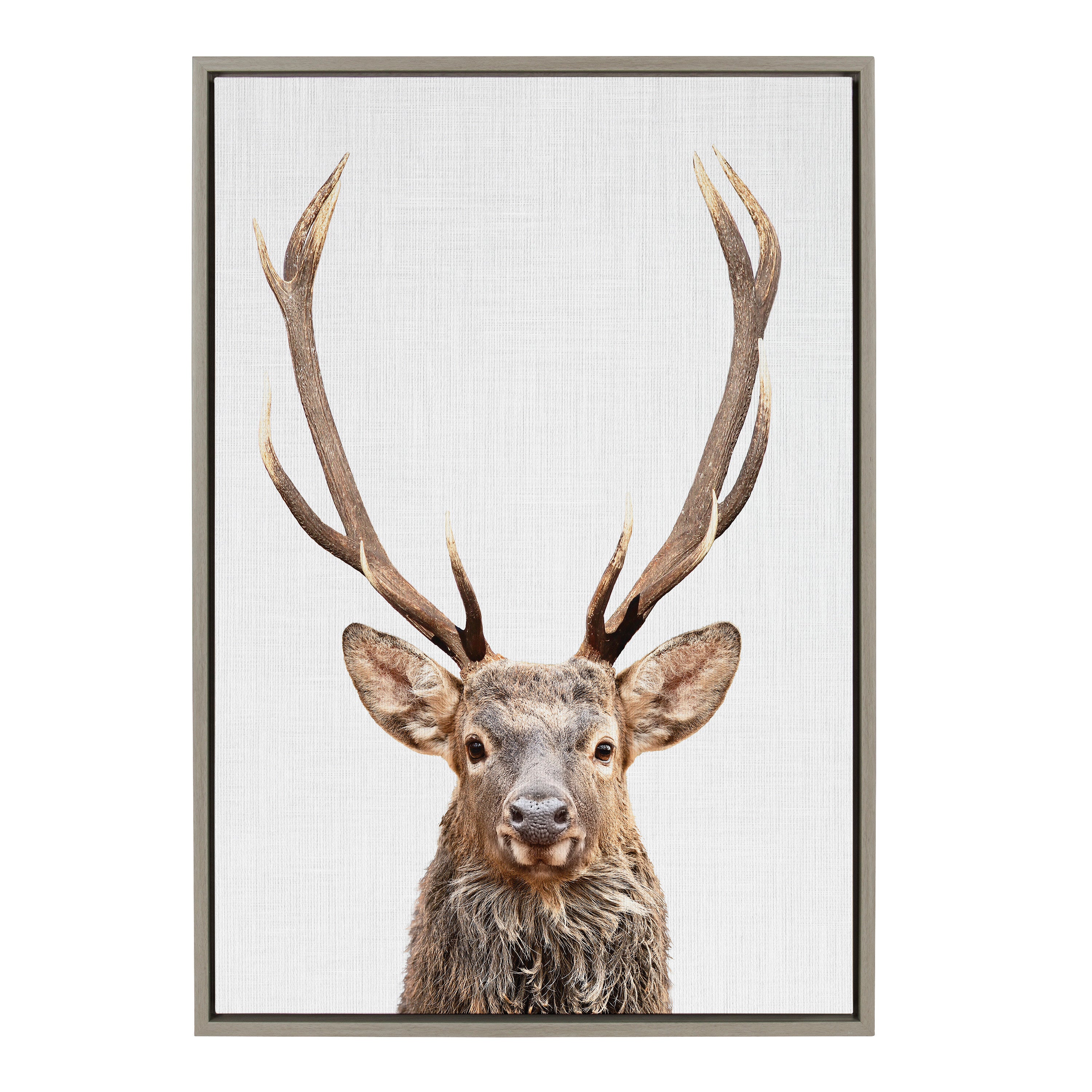 Sylvie The Red Deer Color Framed Canvas by Simon Te of Tai Prints