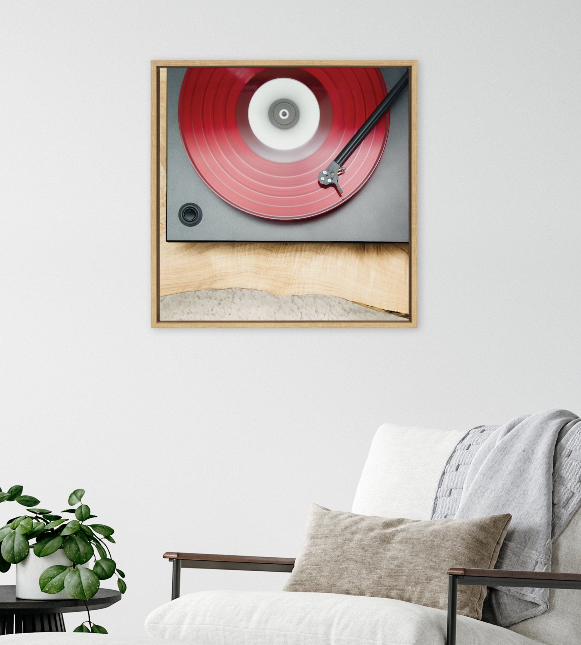 Sylvie Vinyl Vibes Color Framed Canvas by Emiko and Mark Franzen of F2Images