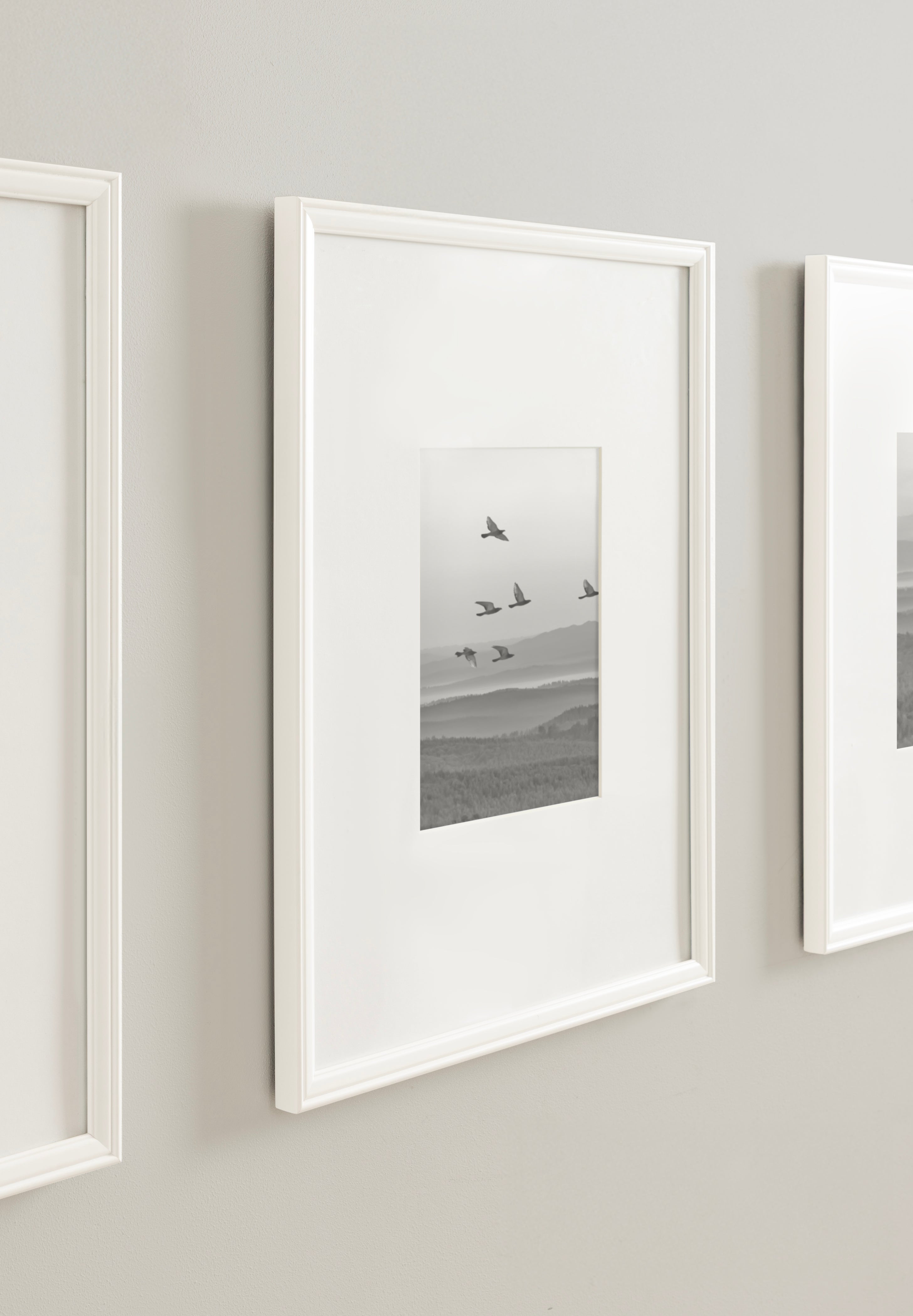 Wall Frame White 16x20 matted to 8x10 8