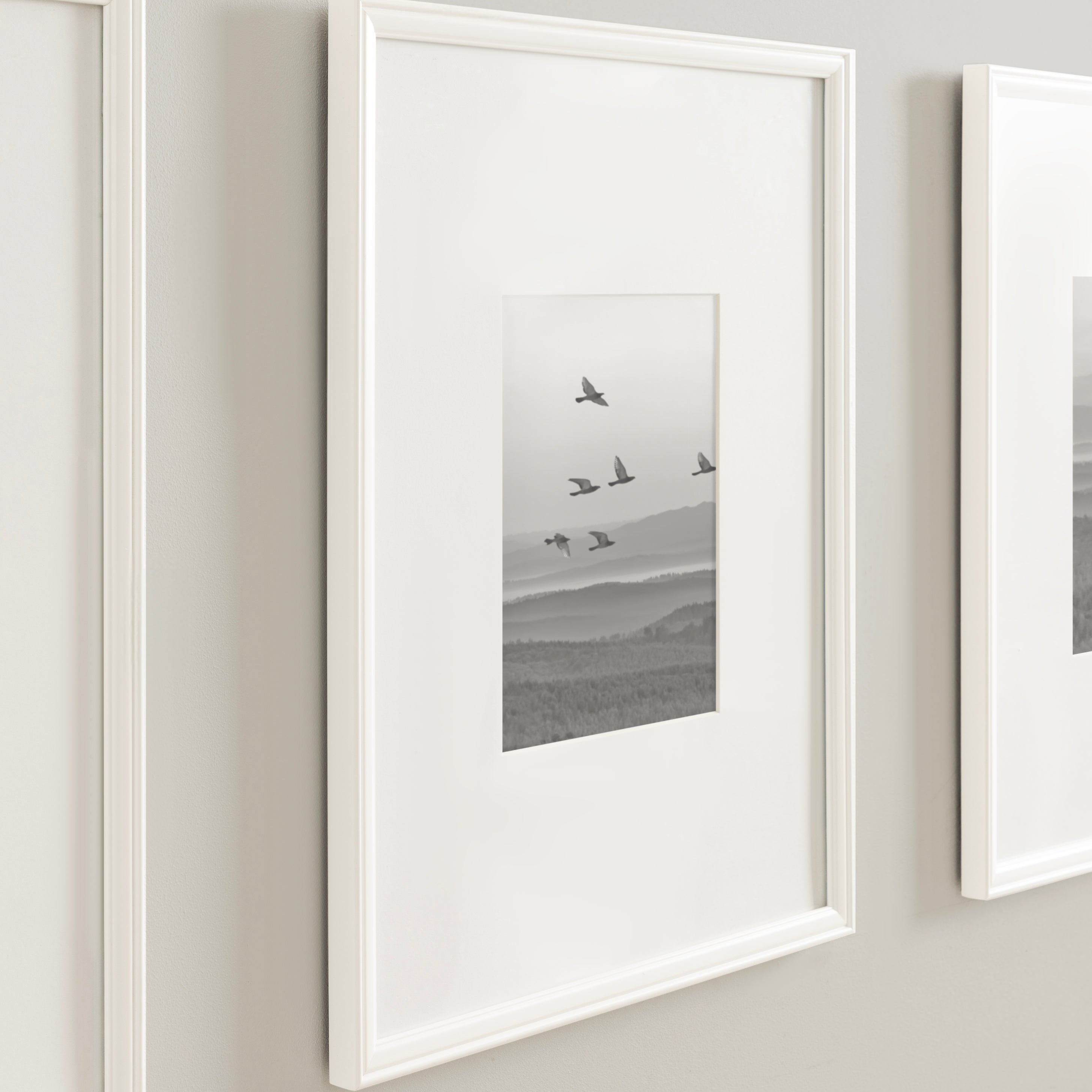 Wall Frame 16x20 matted to 8x10 White 8