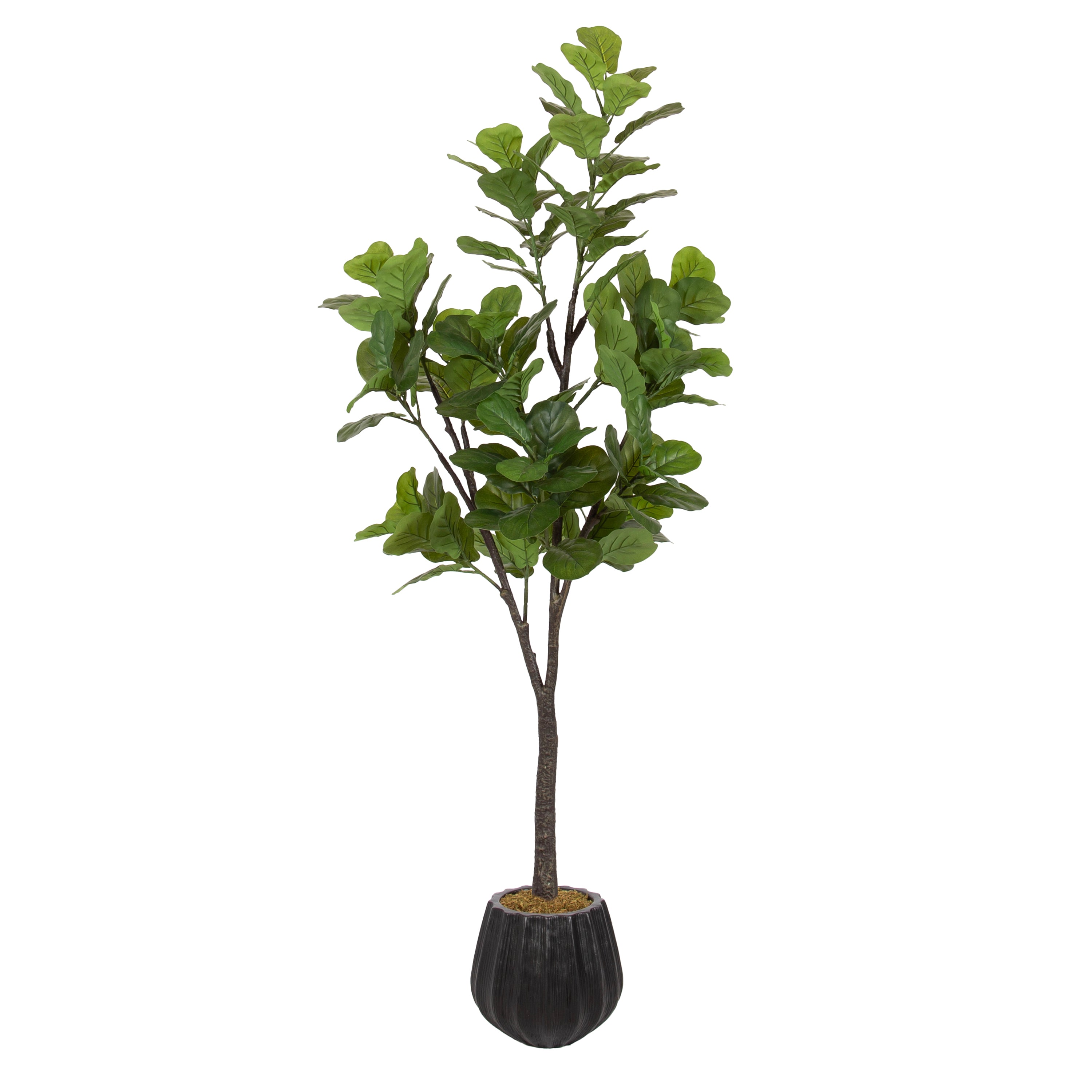 Faux Tree Black 6' 1