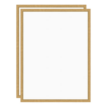 Art Set 2 Piece Set 18x24 Sylvie Bright Gold 1
