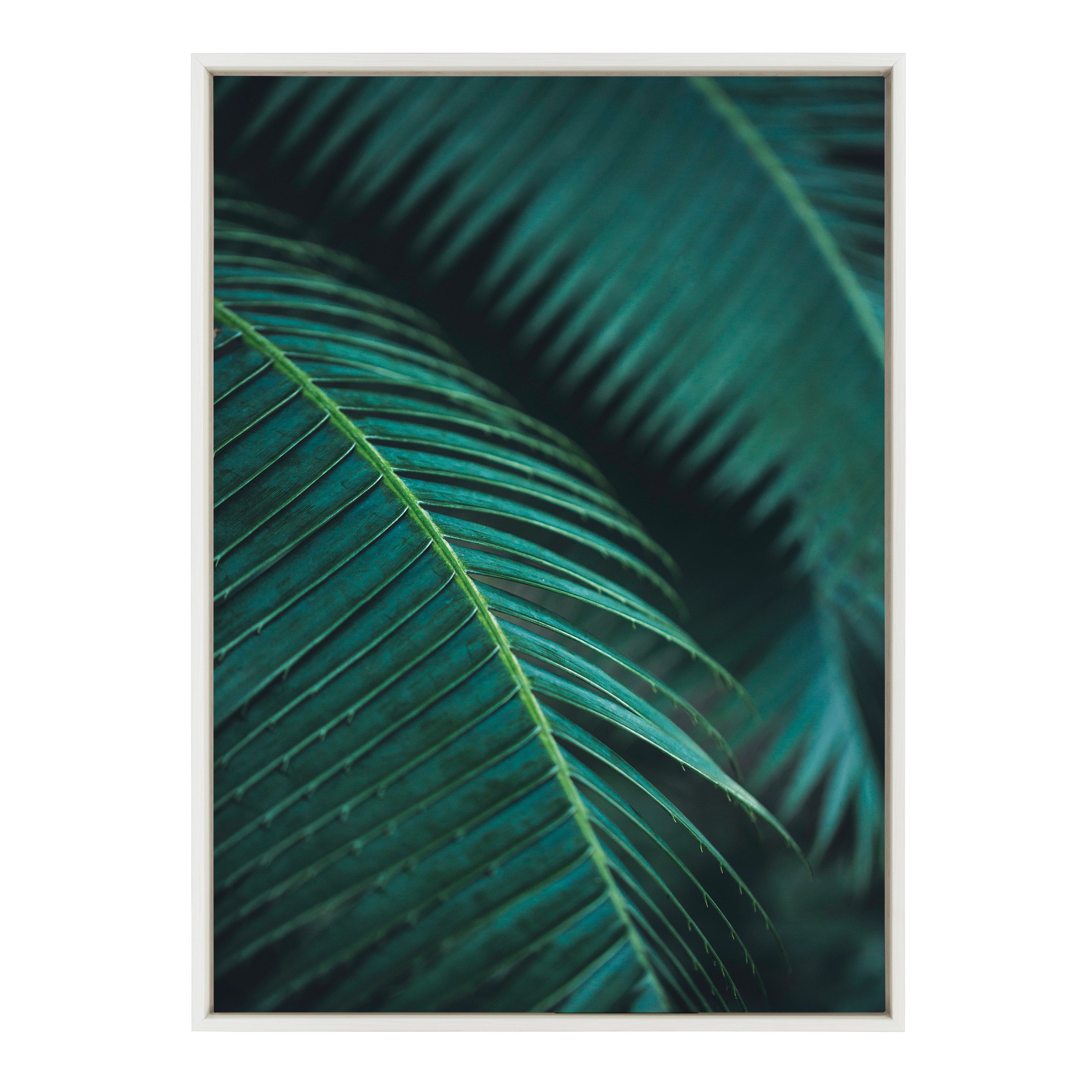 Sylvie Palm Frond II Framed Canvas by Emiko and Mark Franzen of F2Images