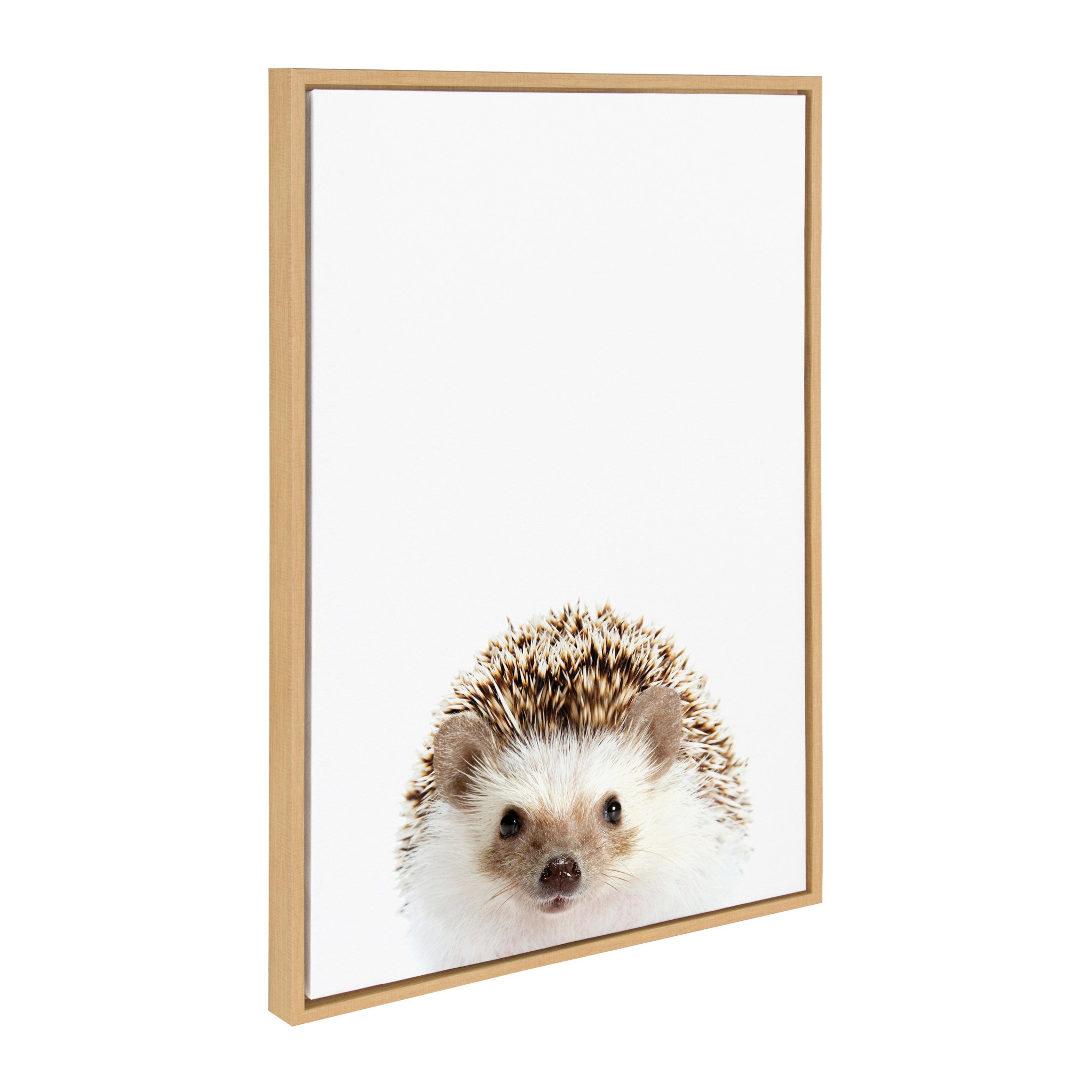 Sylvie Hedgehog, Hedgehog Donuts and Hedgehog Pineapple Framed Canvas Art Set by Amy Peterson Art Studio