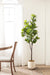 Faux Tree Cream 6' 8