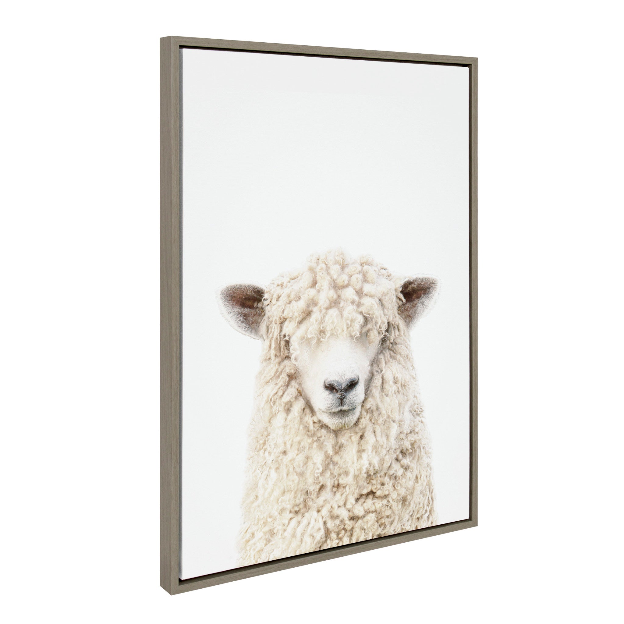 Sylvie Sheep Bangs Portrait, Animal Studio Black Nosed Sheep and Dorper Sheep Framed Canvas Art Set by Amy Petrson Art Studio