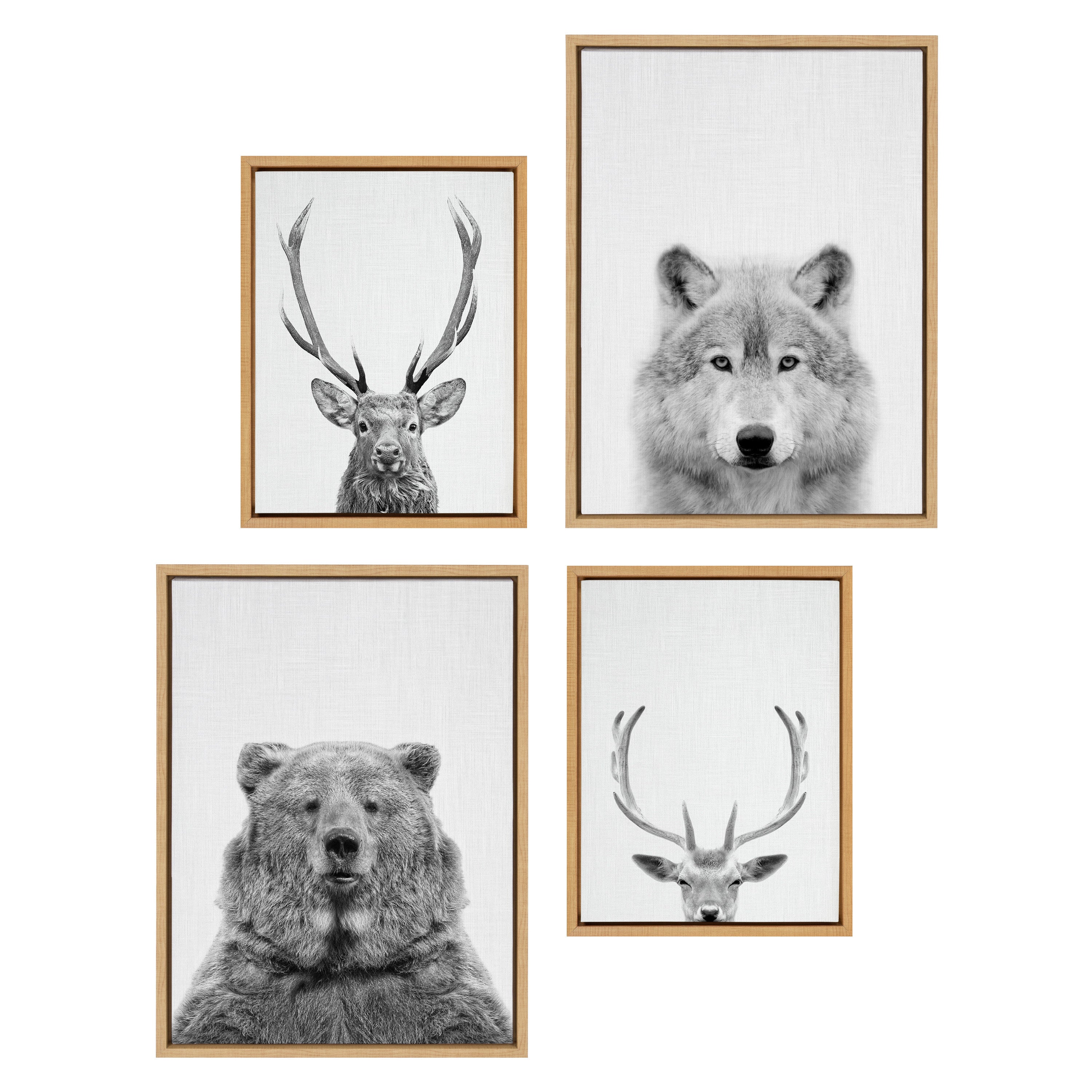 Sylvie Deer, Wolf, Bear European and Cervus Elaphus The Red Deer Black and White Framed Canvas Art Set by Simon Te of Tai Prints