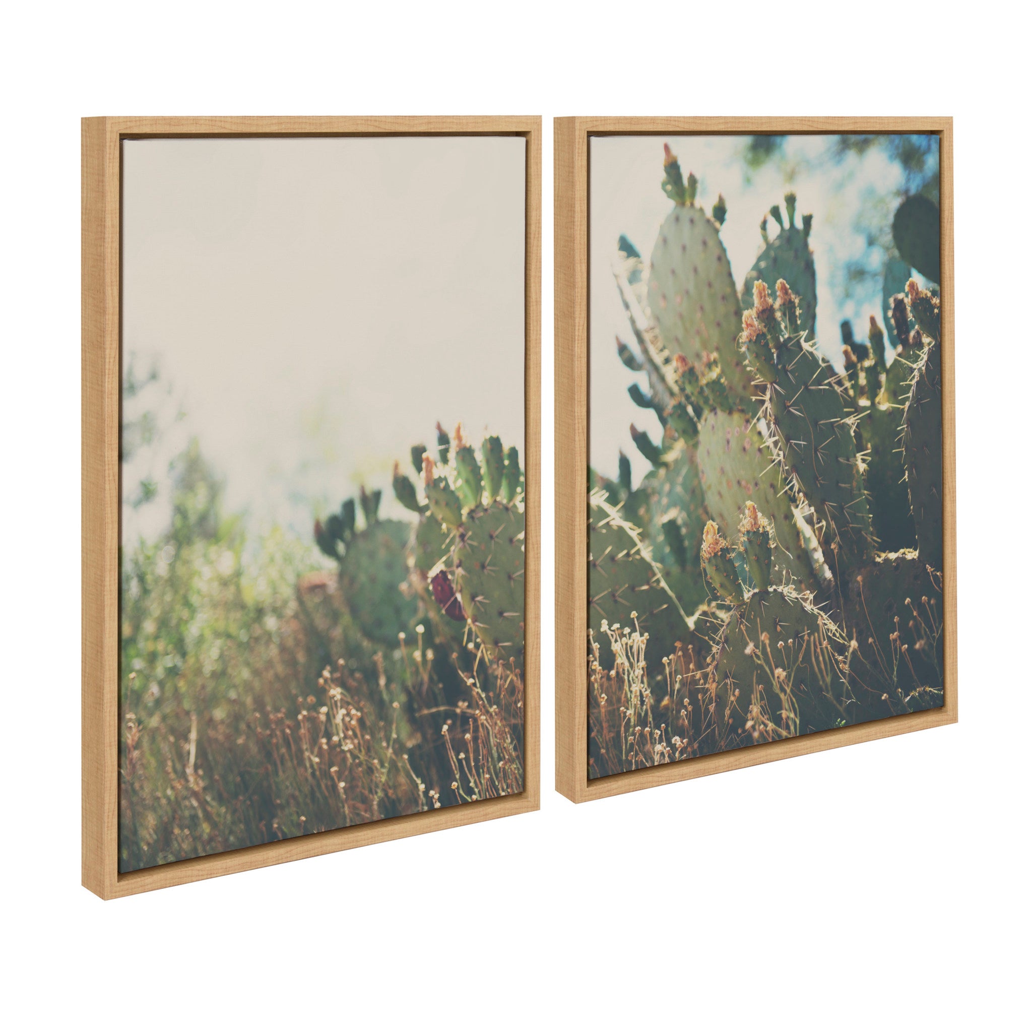 Sylvie A Desert Prickly Pear Cactus 1 and 2 Framed Canvas Art Set by Laura Evans