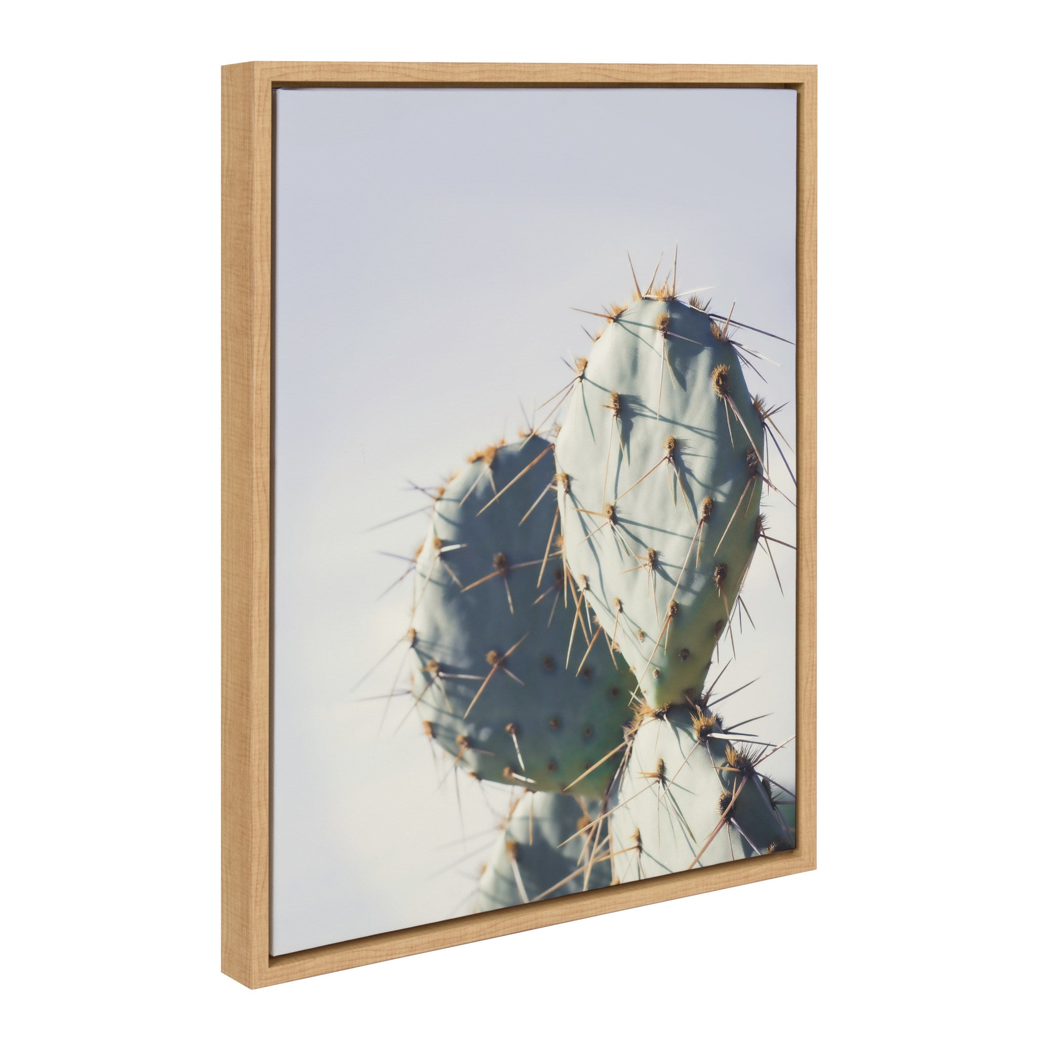 Sylvie Cactus Sky, Pastel Cactus, Stand Tall Cactus and Arizona Pastel Cactus Framed Canvas Art Set by Stephanie Klatt