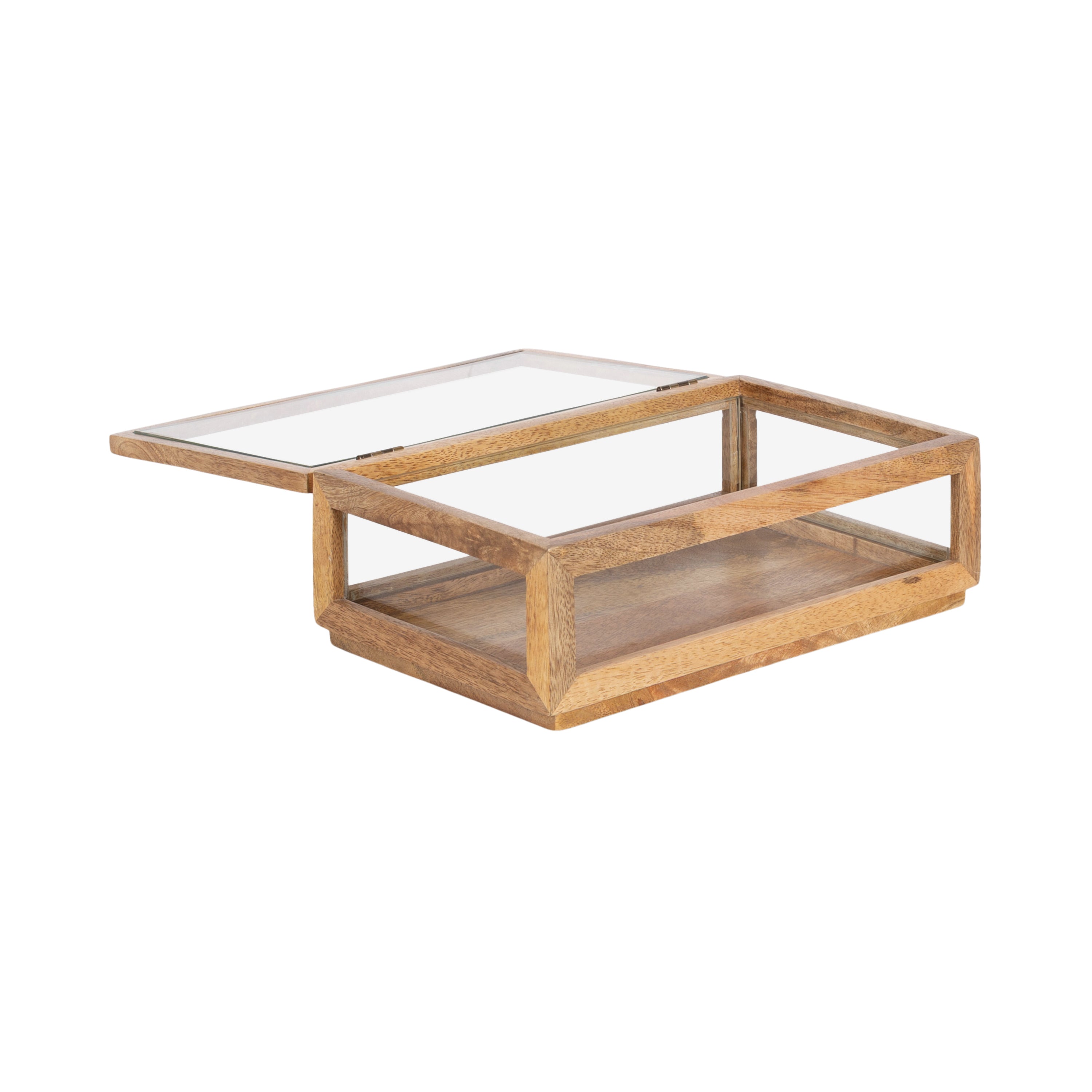 Curiel Decorative Wood and Glass Storage Box
