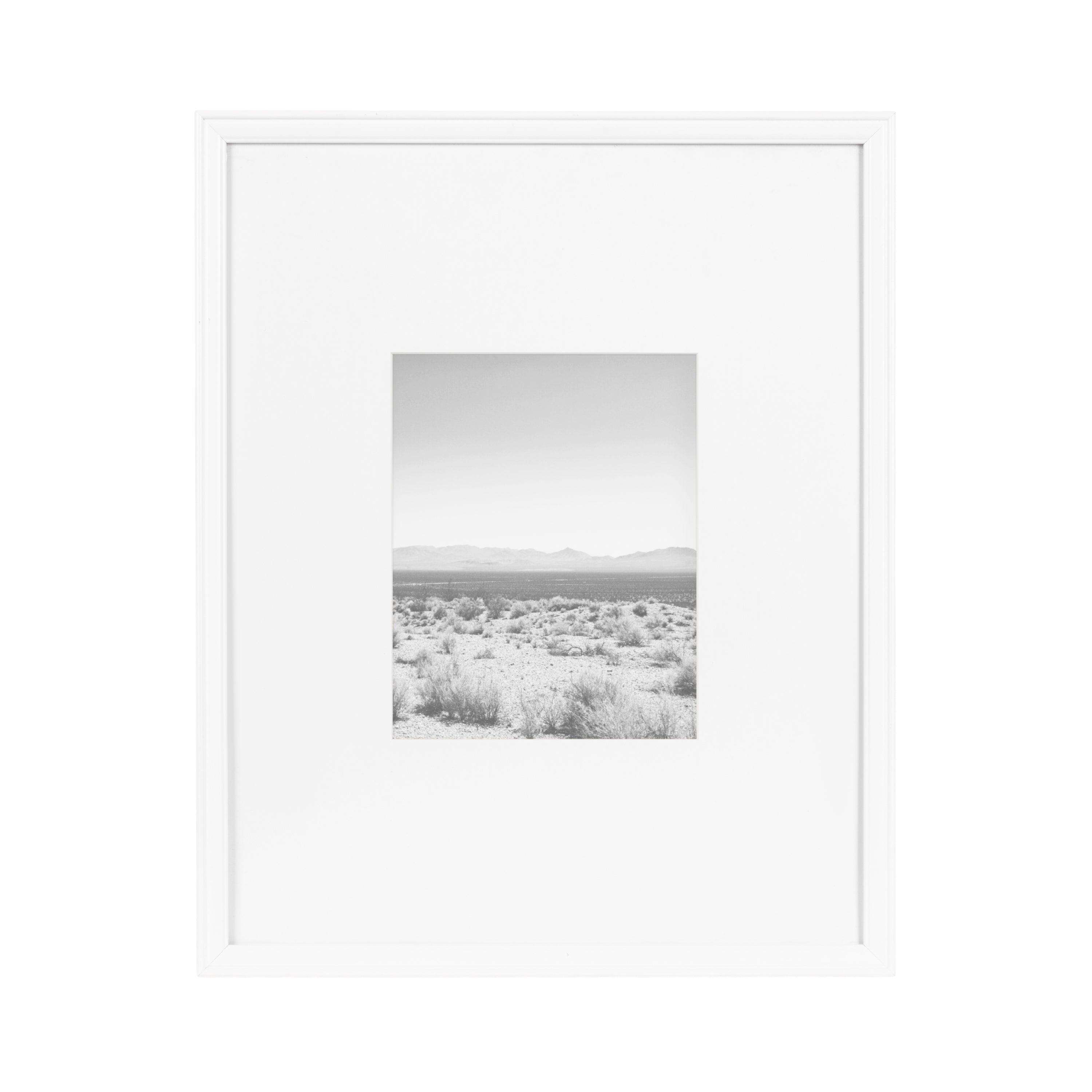 Wall Frame White 16x20 matted to 8x10 6