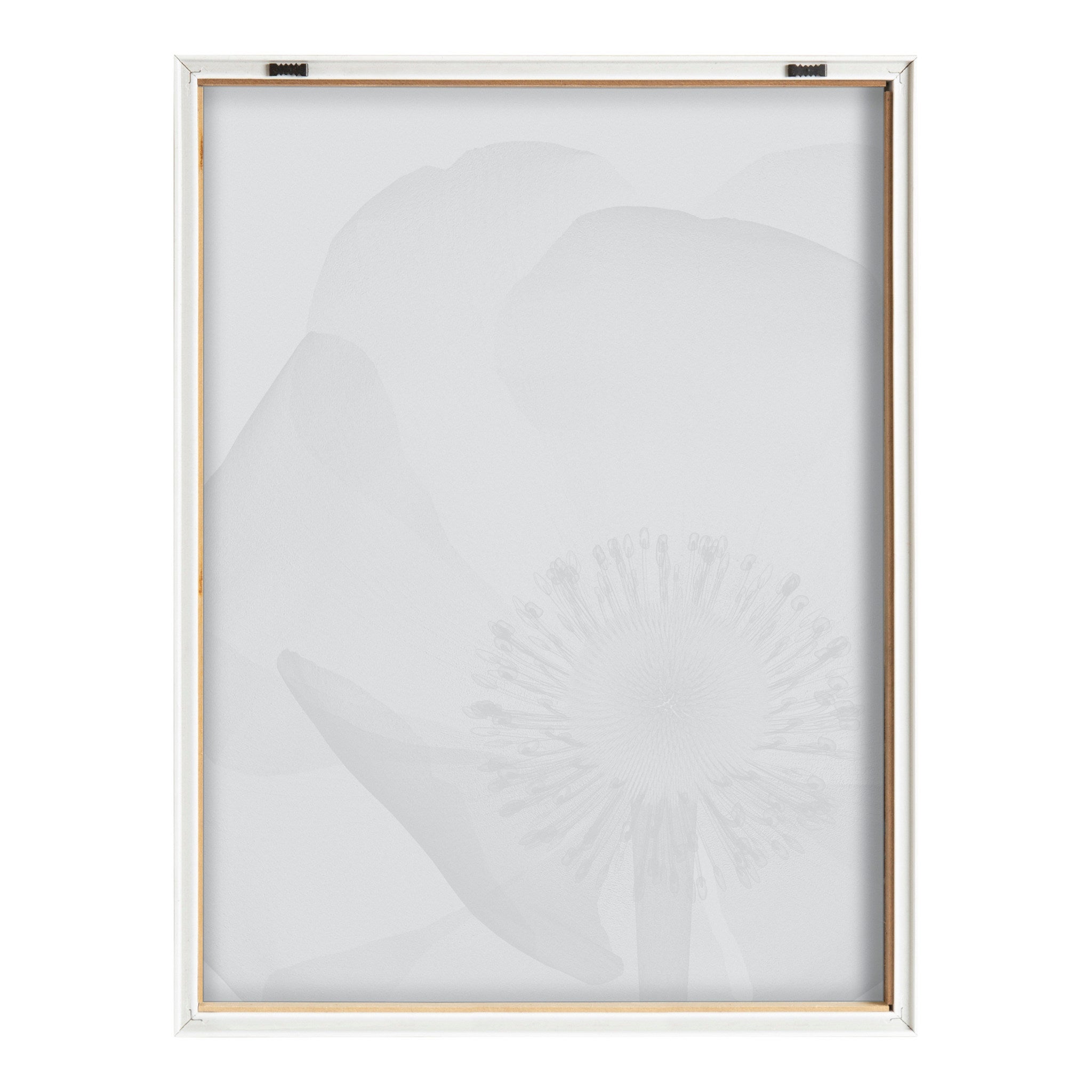 Blake Poppy X Ray Floral 2 BW Framed Printed Art by The Creative Bunch Studio