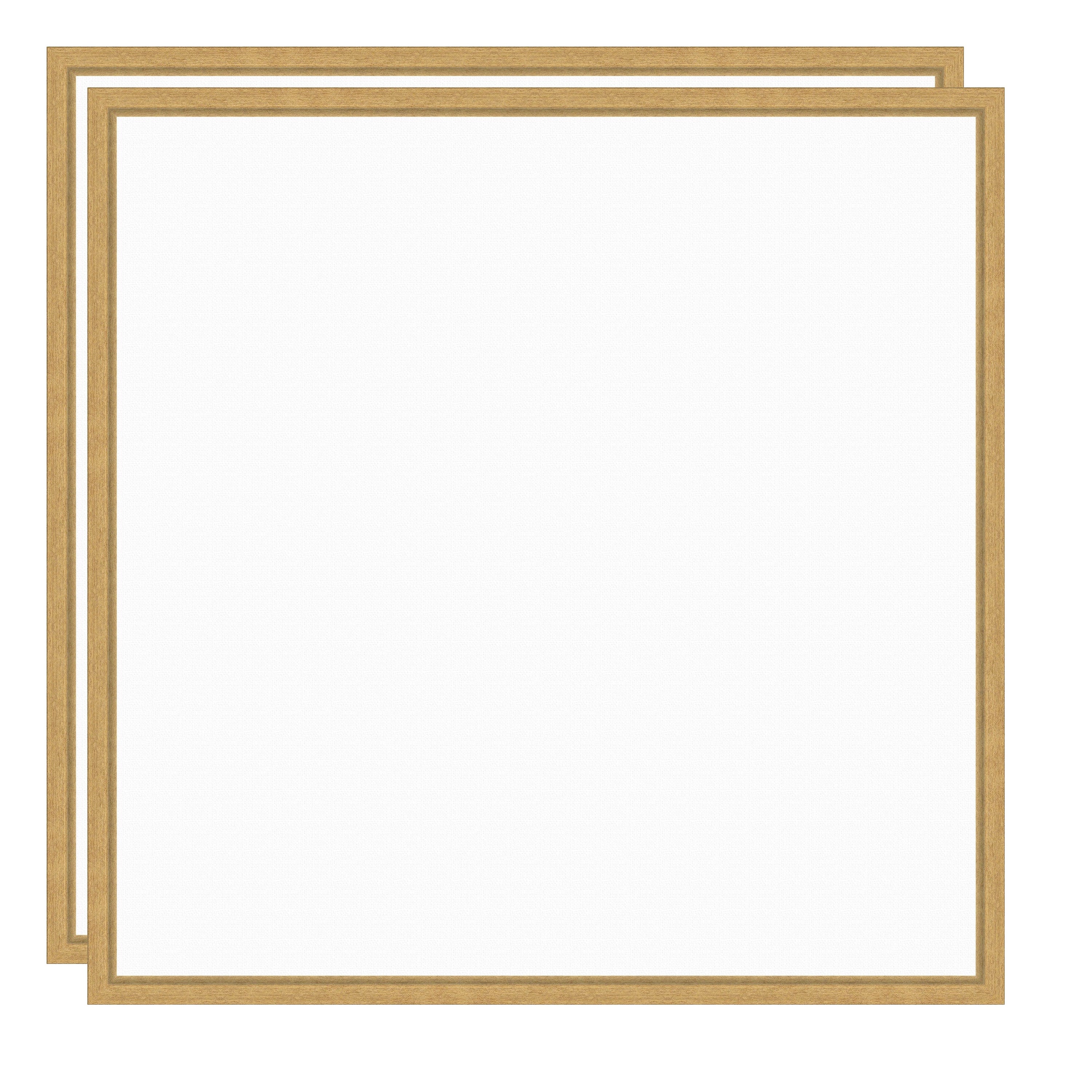 Art Set 2 Piece Set 22x22 Sylvie Bright Gold 1