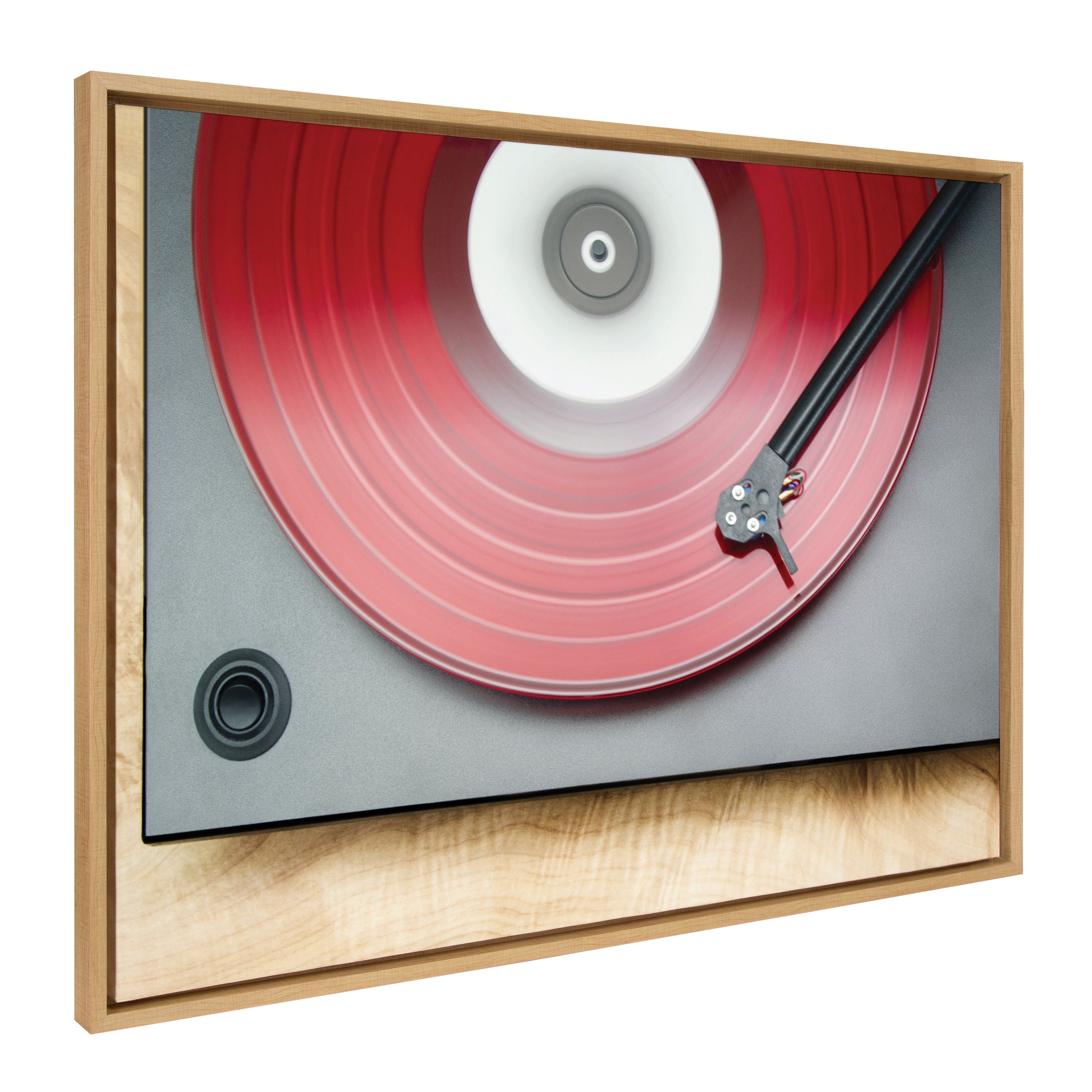 Sylvie Red Vinyl Framed Canvas by Emiko and Mark Franzen of F2Images